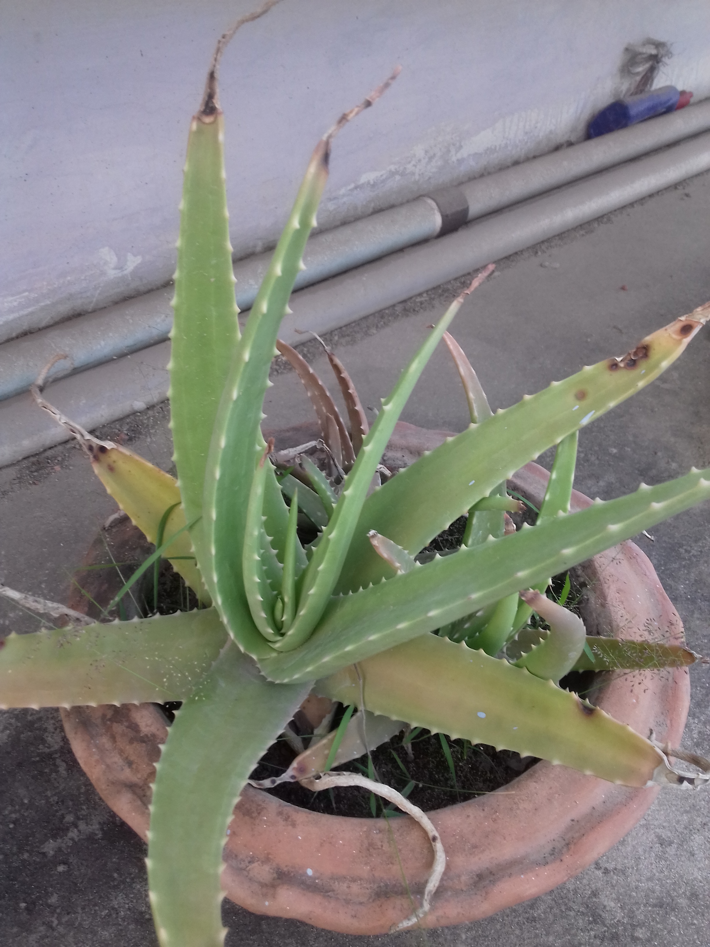 20190405_173636(0).jpg