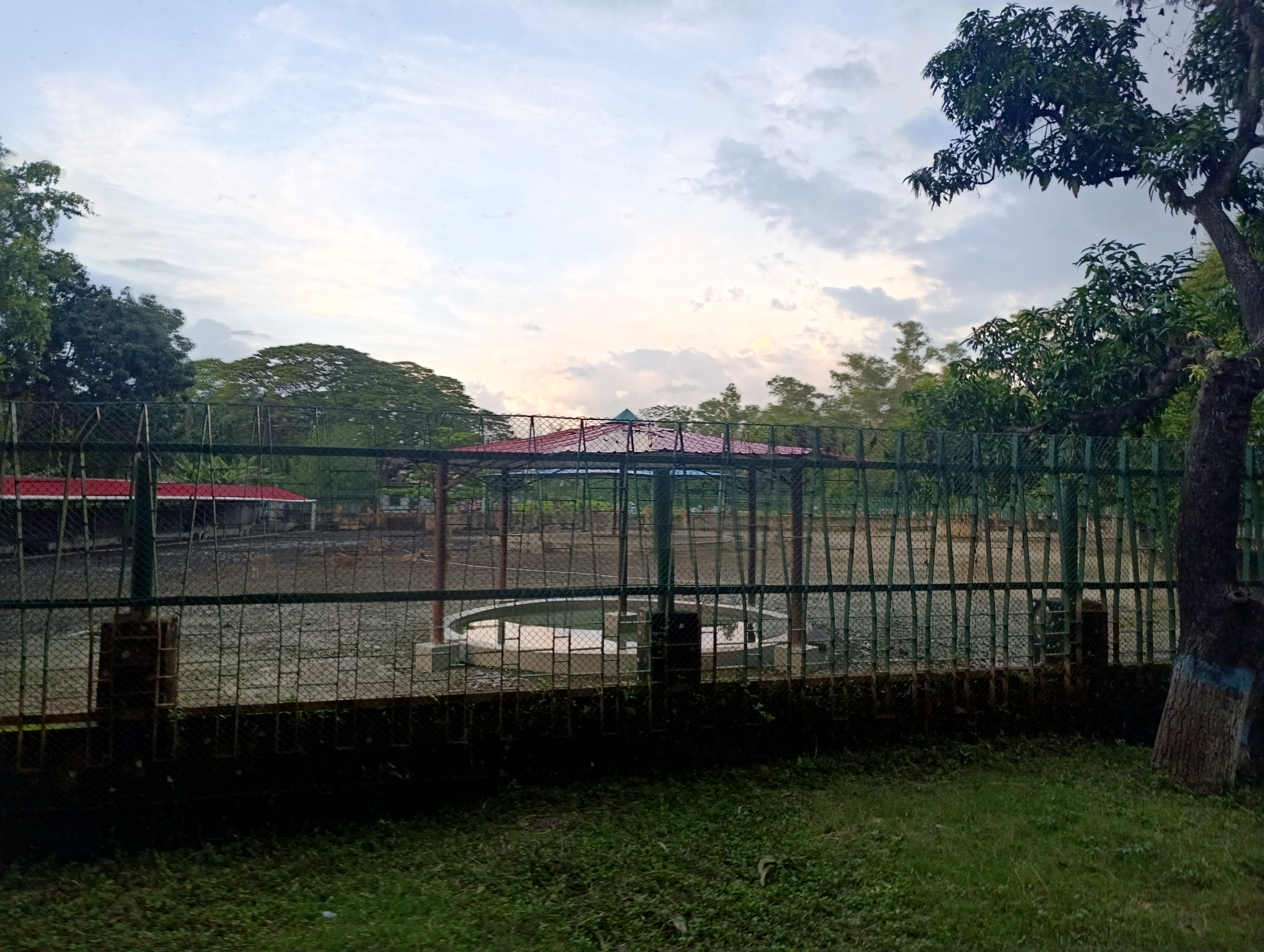 4134.jpg