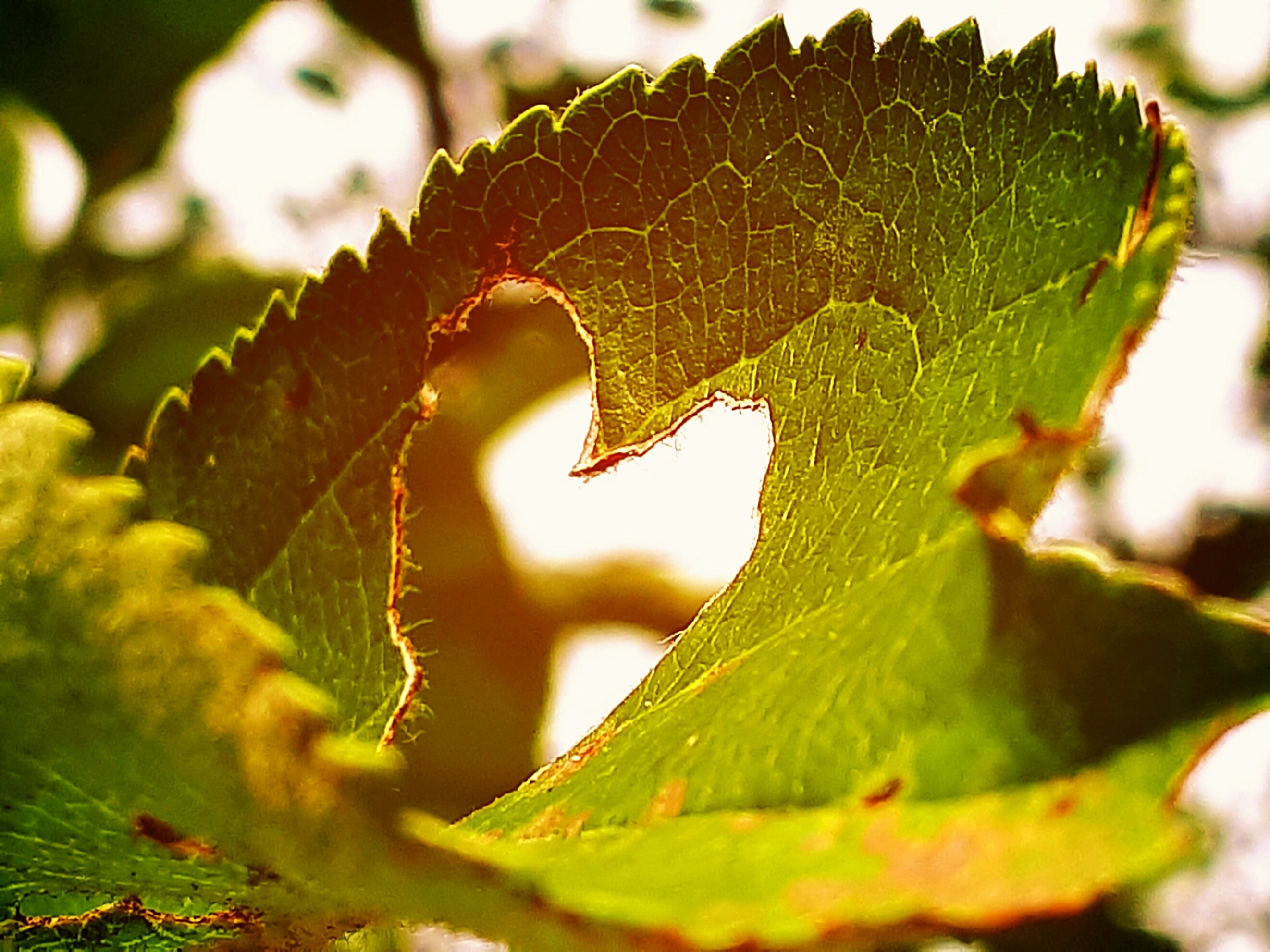 20191007_091505.jpg