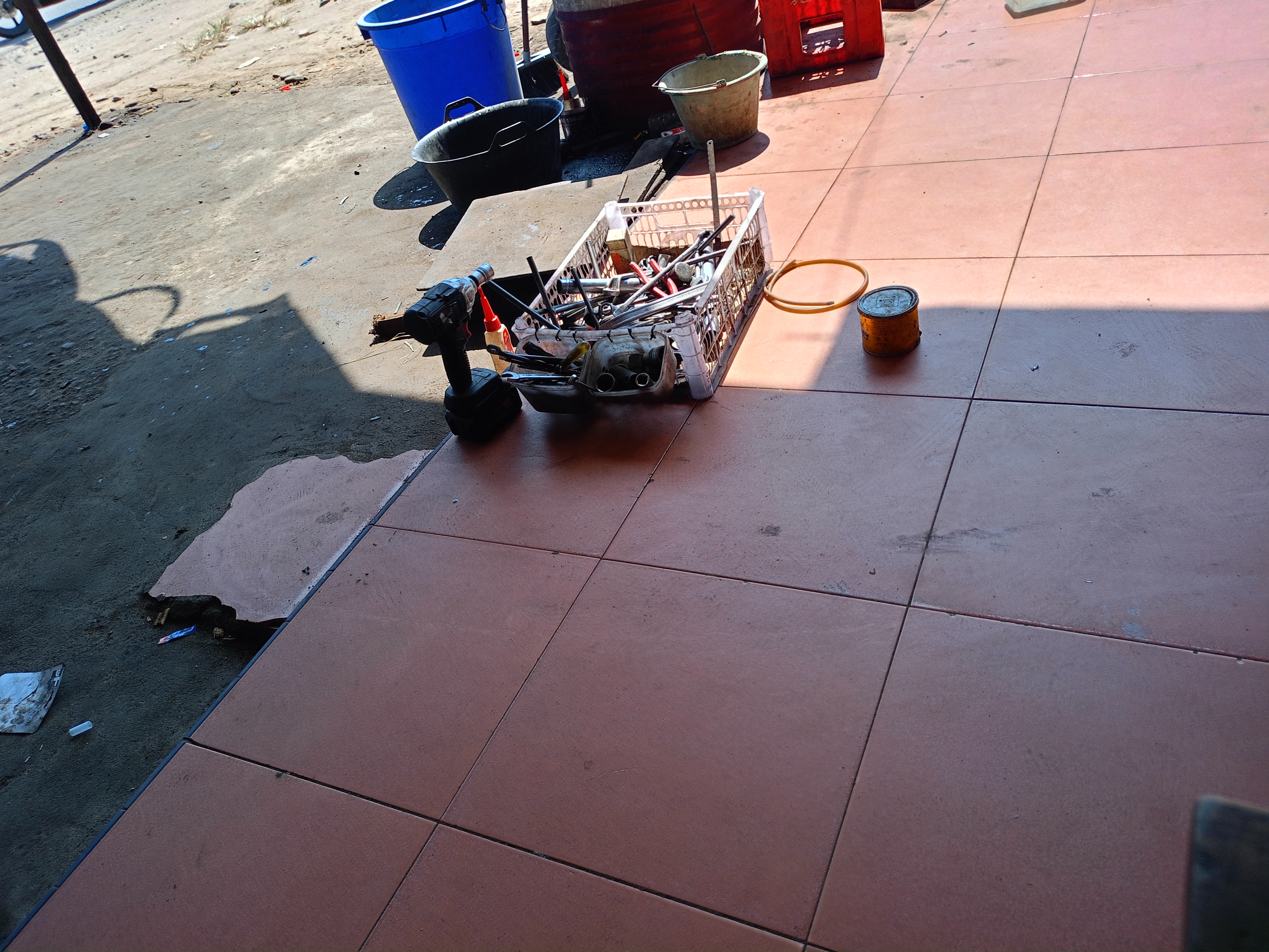 IMG20260320103328.jpg