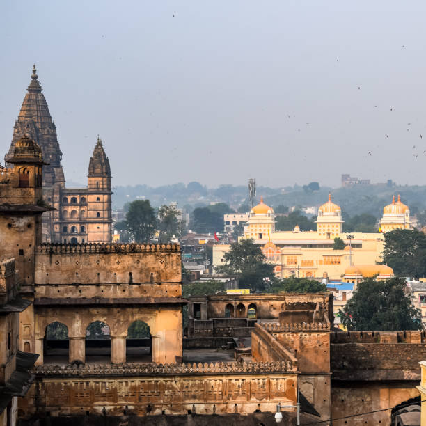 istockphoto-1370345378-612x612.jpg