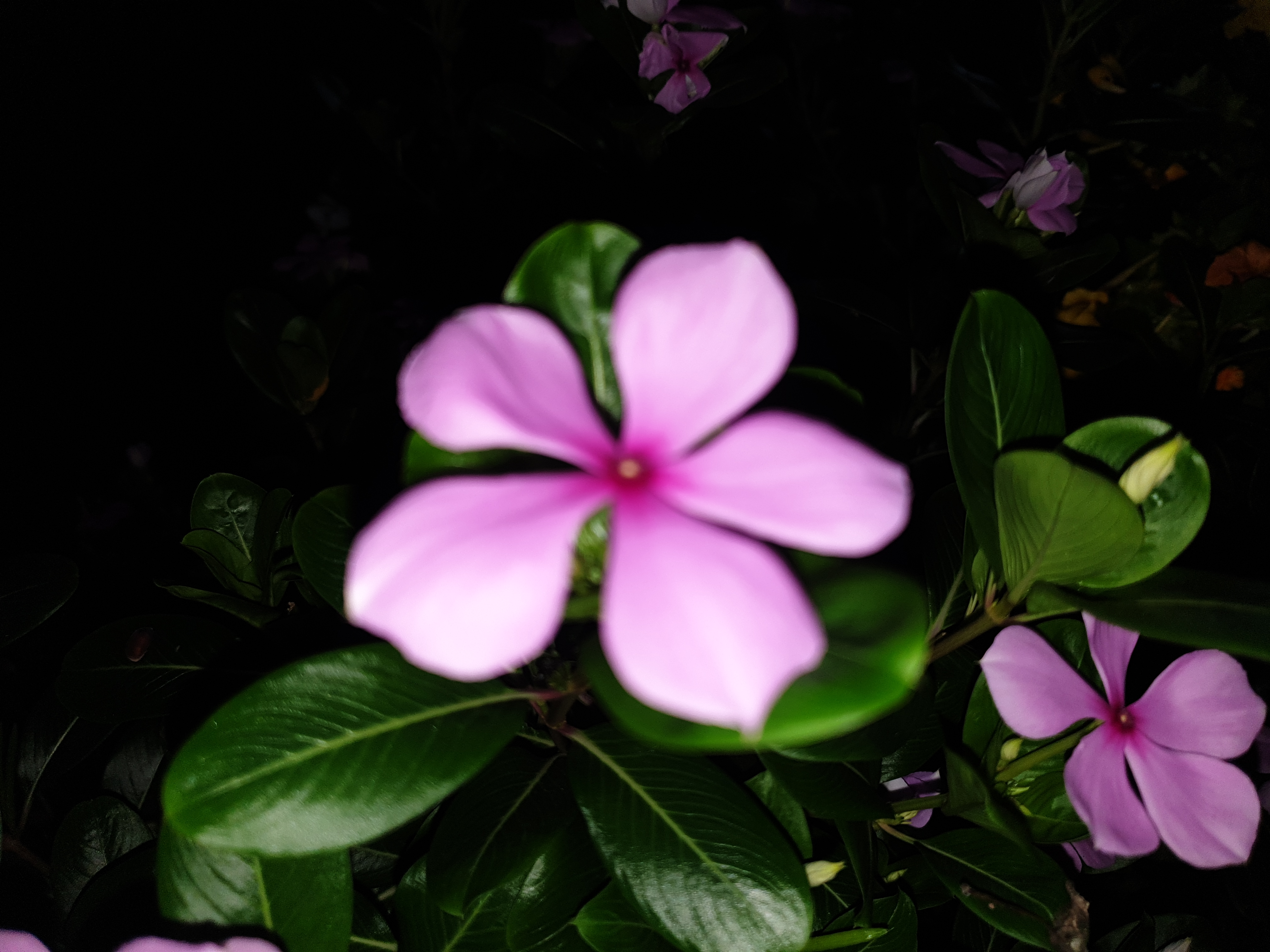 20220918_213739.jpg