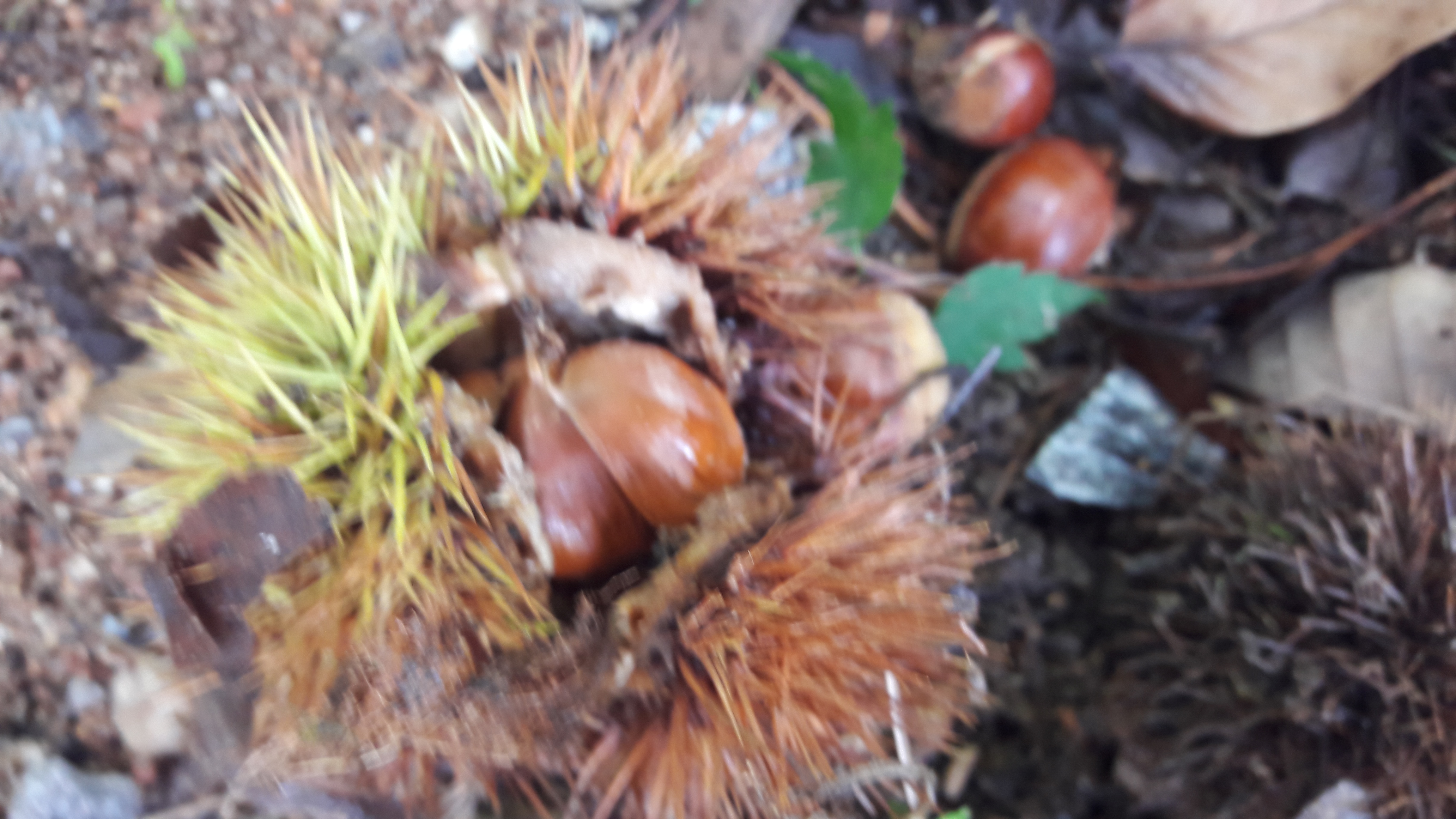 20180922_104207.jpg