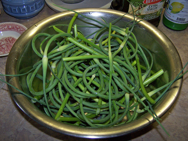 Scape pickles - bowl of scapes crop June 2018.jpg