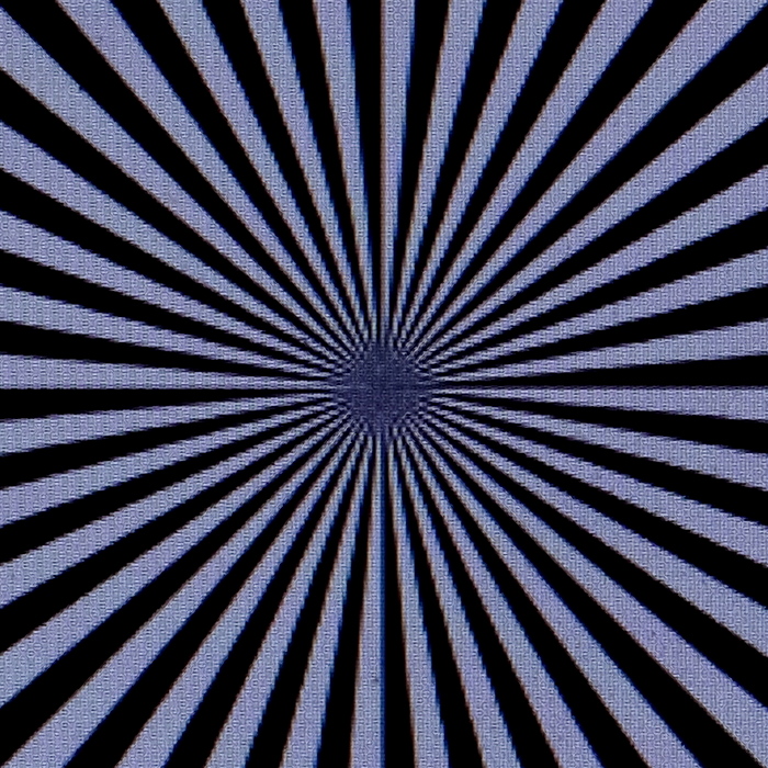06 Zeiss-11-DSCF6836-fs_cr-c.jpg