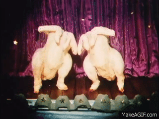 chickendancegif.gif