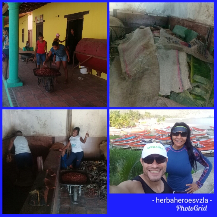 PhotoGrid_1528224780336.jpg