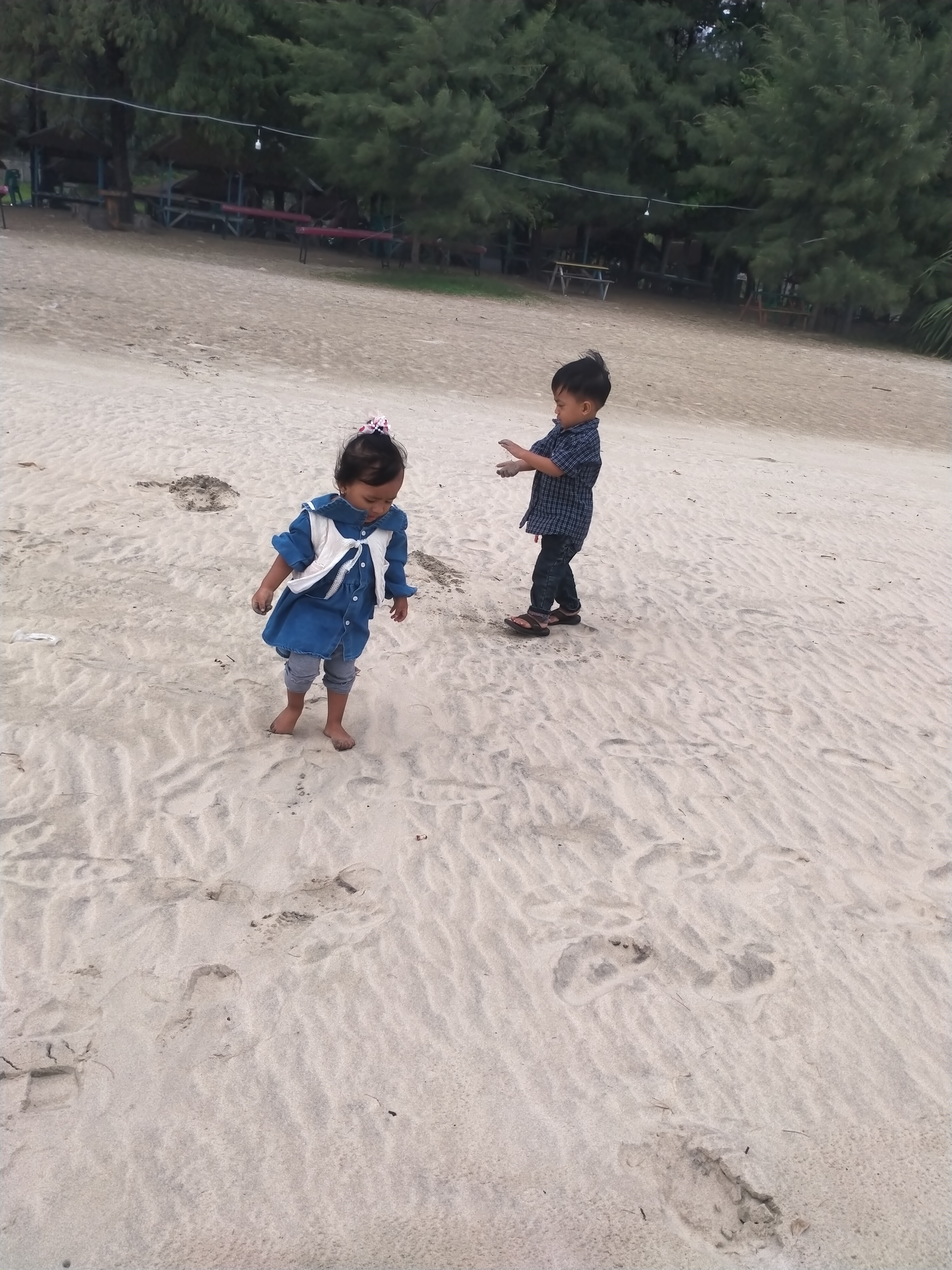 IMG20230530145028.jpg