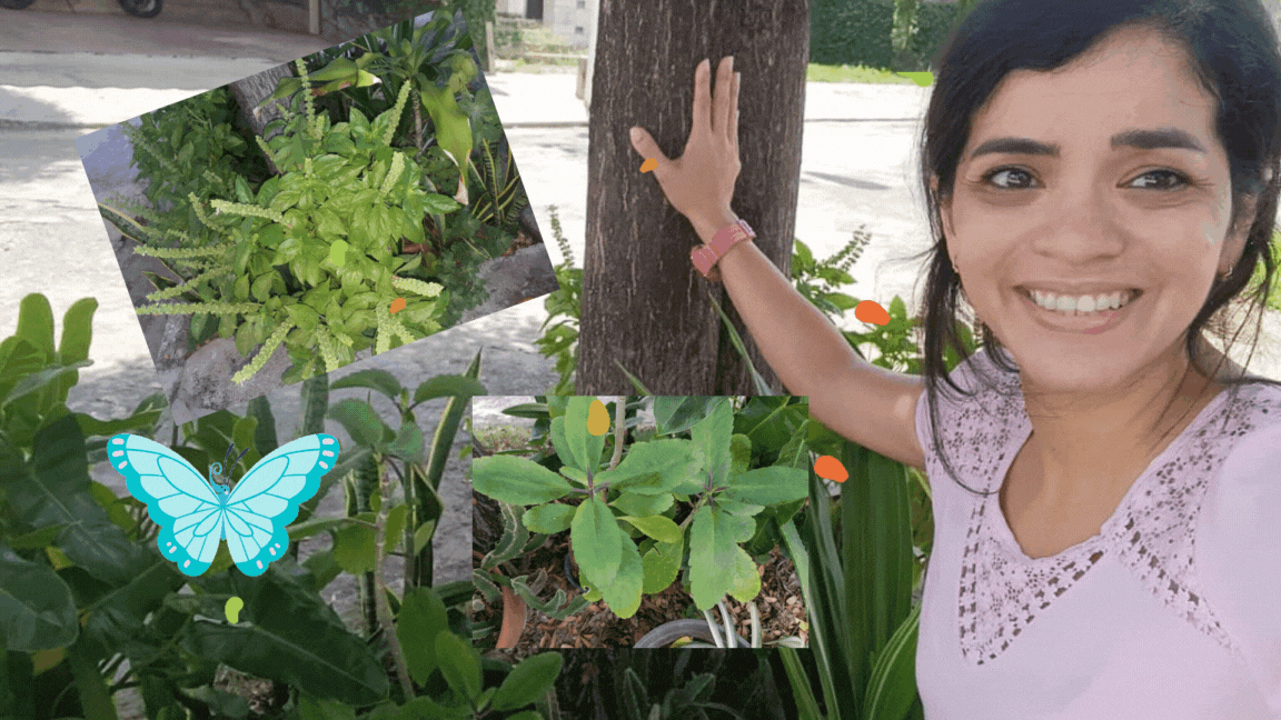 Discovering (24).gif