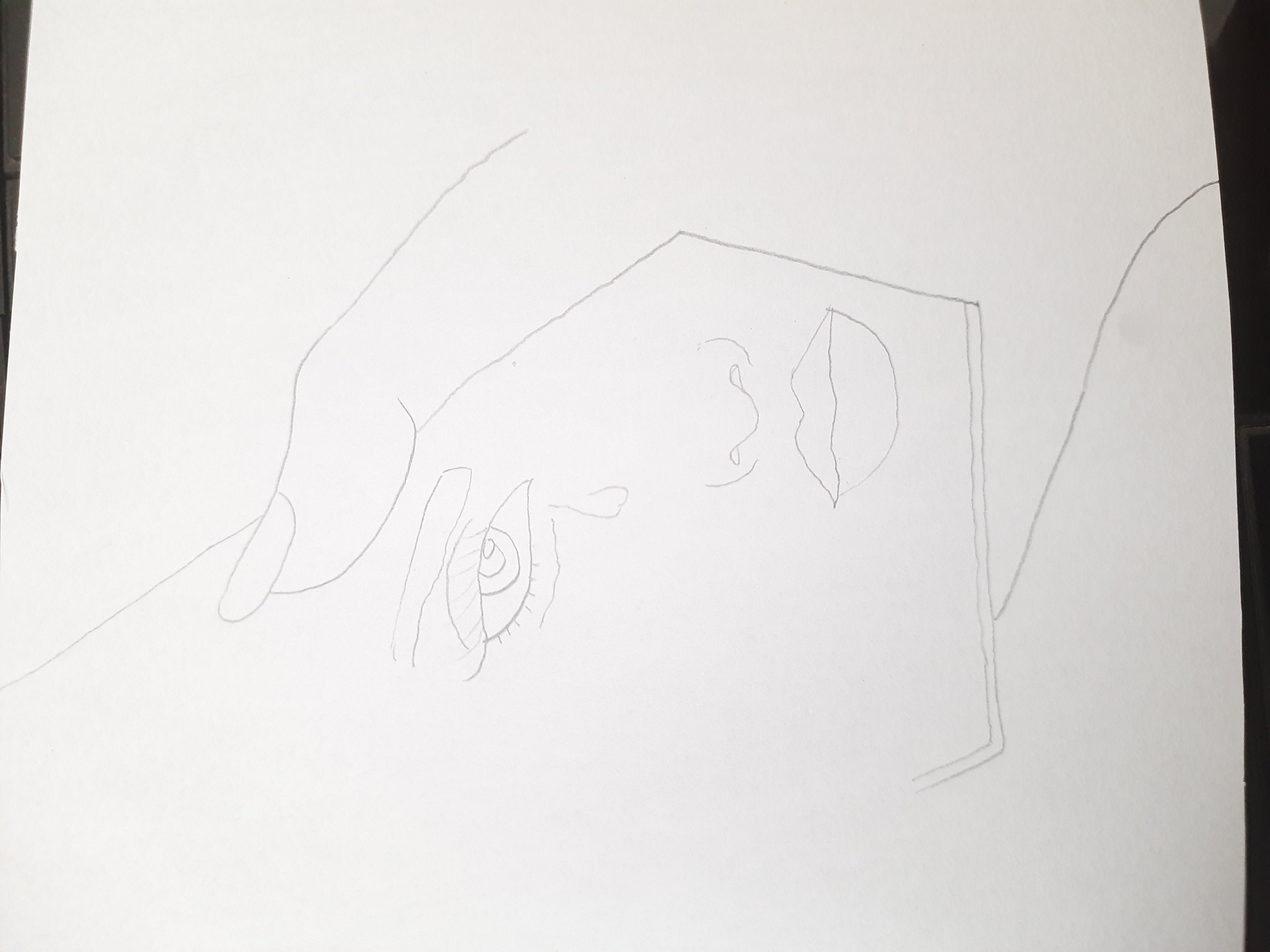 20260716_104652.jpg