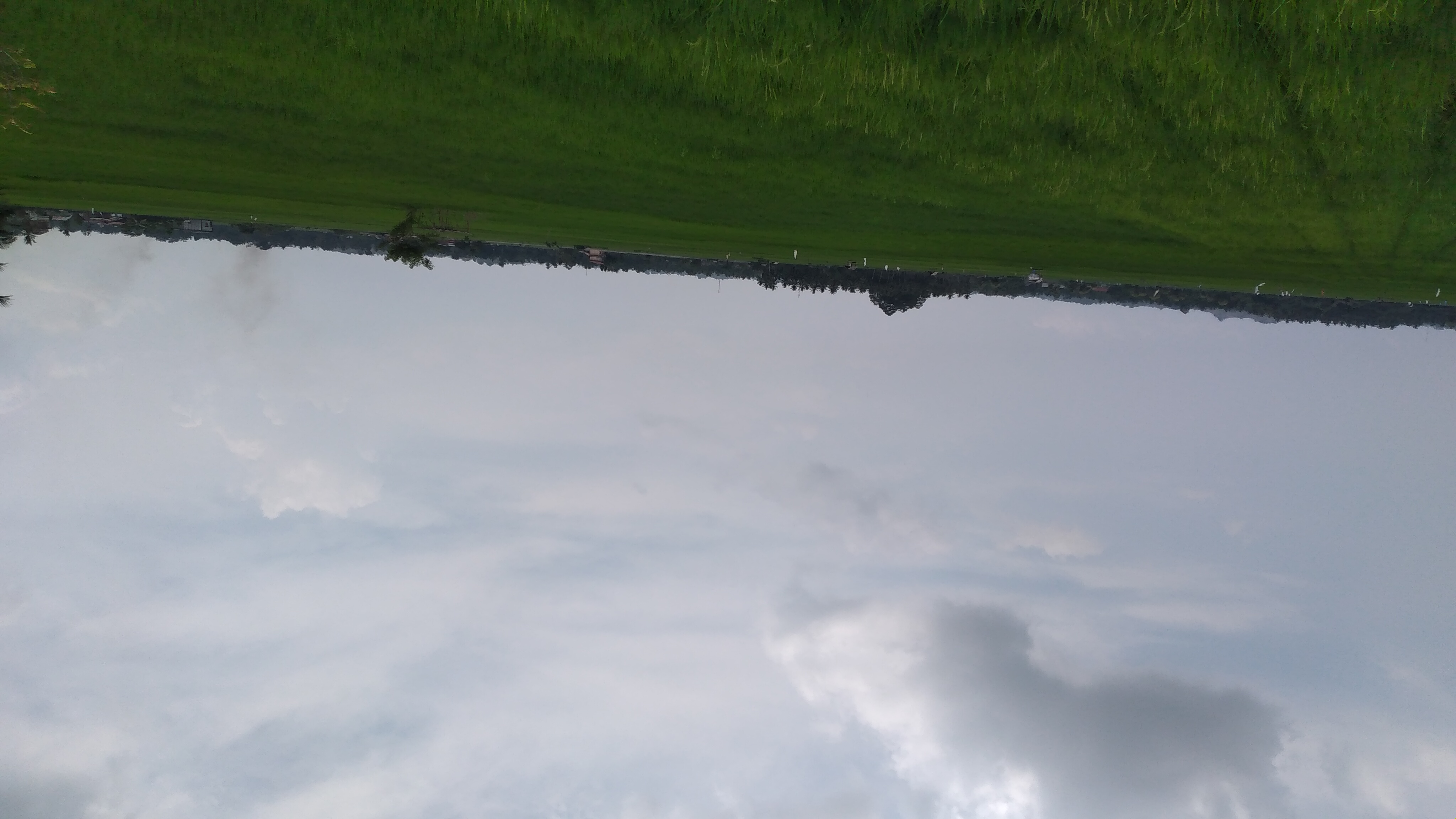 20240326_115955.jpg