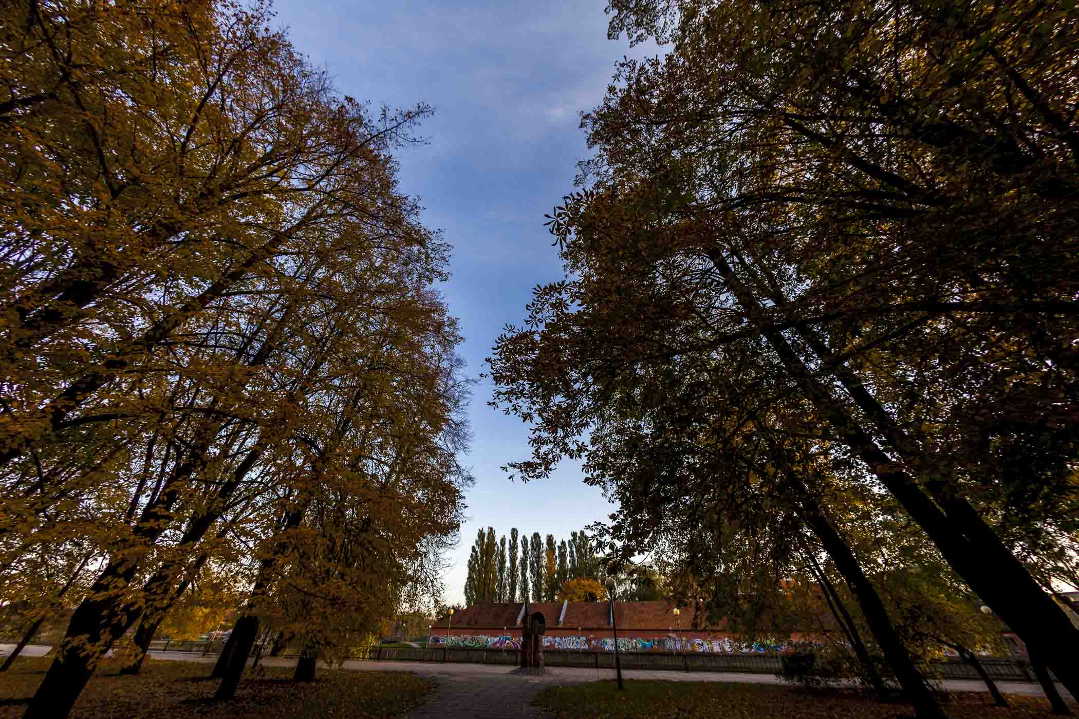 _MG_4636.jpg