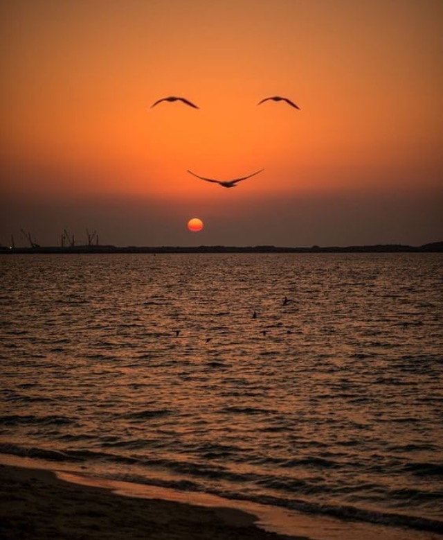 IMG_8769.PNG