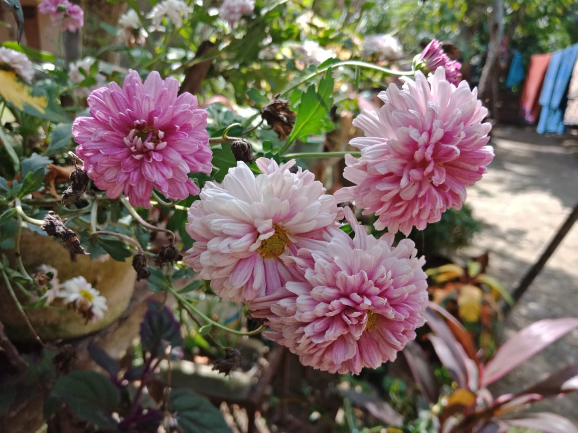 WhatsApp Image 2021-12-15 at 13.39.18(2).jpeg