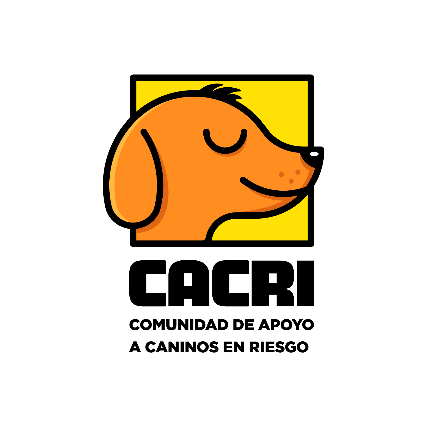 separadores y logo-05.jpg