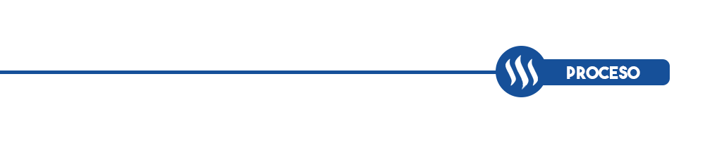 ProcesoBANNER.png