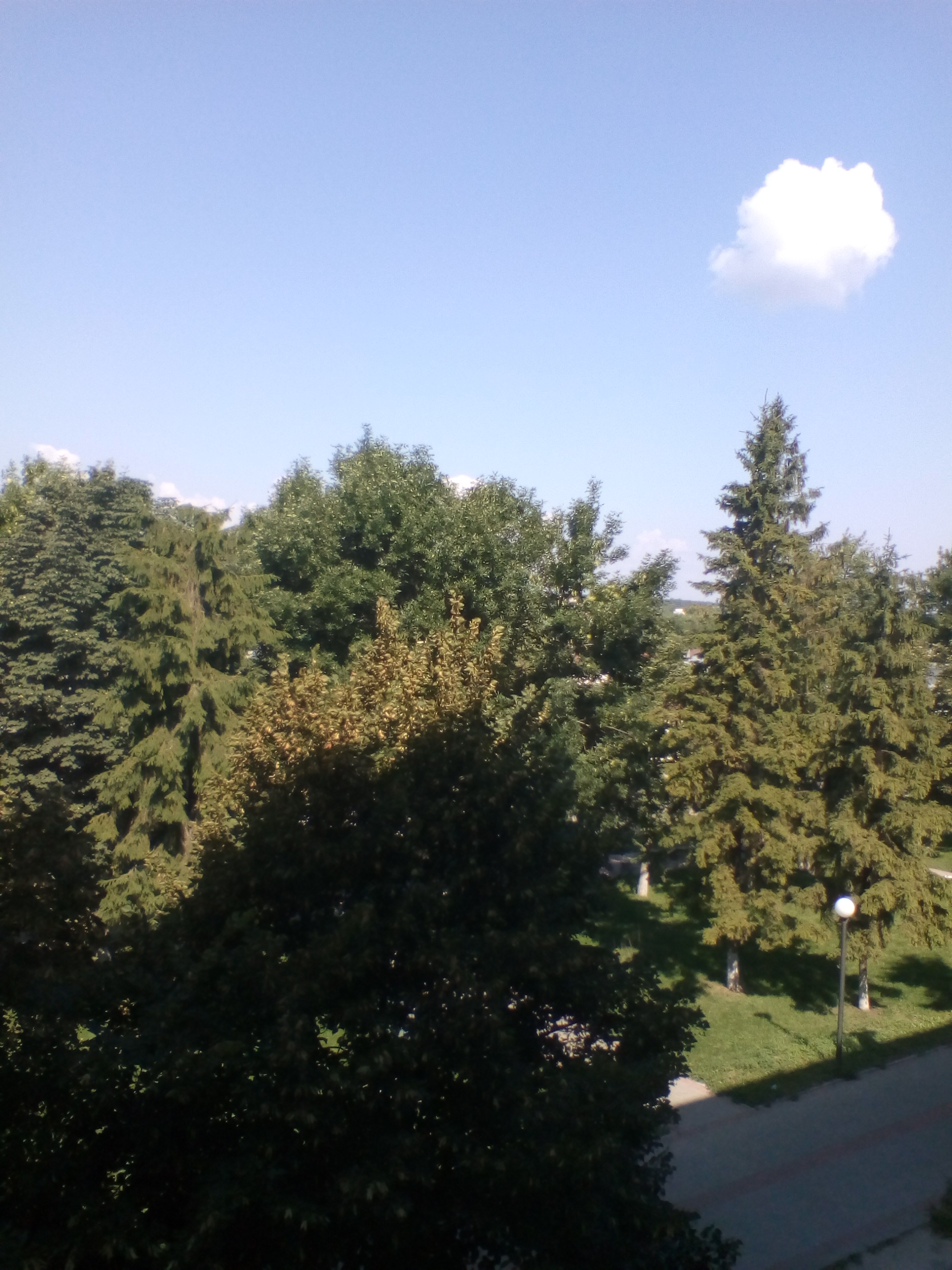 IMG_20180805_102114.jpg