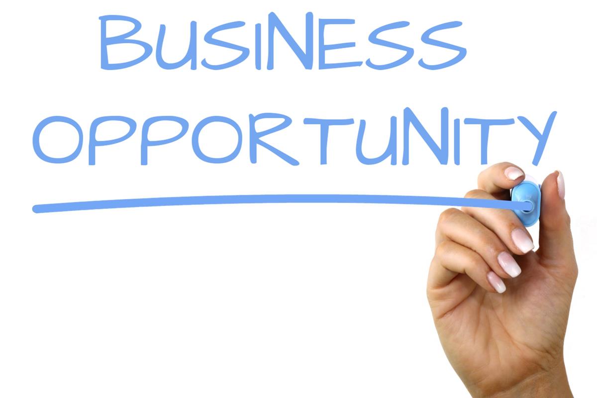 Business opportunities. Business opportunity. International franchise opportunities. Opportunities image.