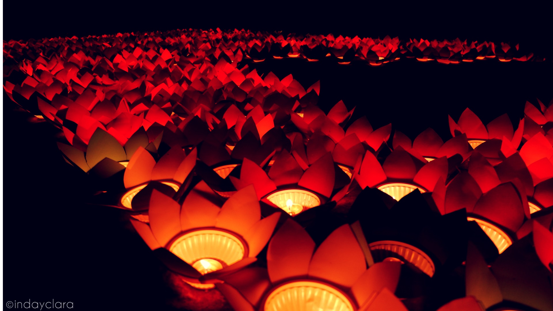 SWIM IN THE SEA (8).jpg