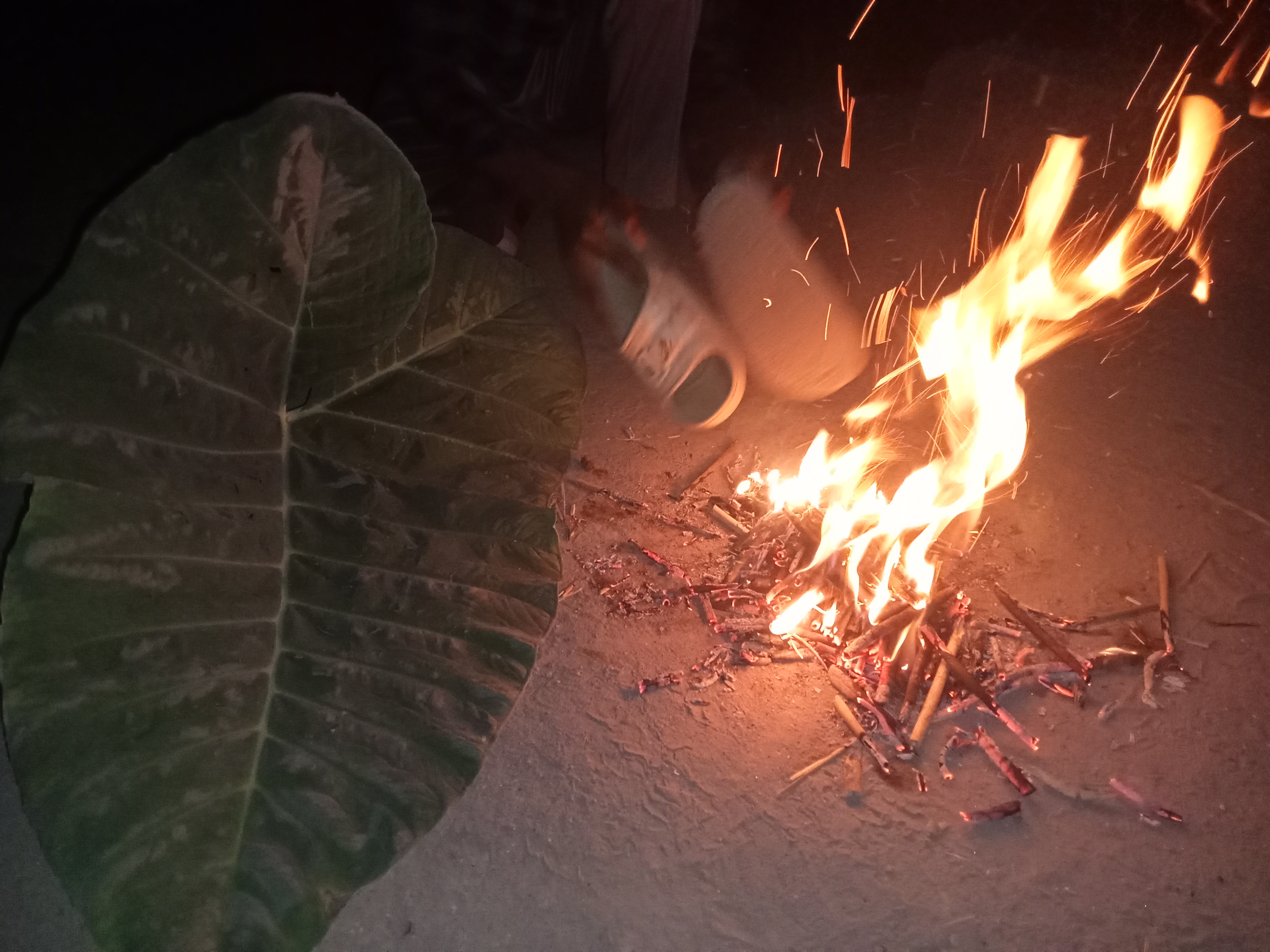 IMG20240410213738.jpg