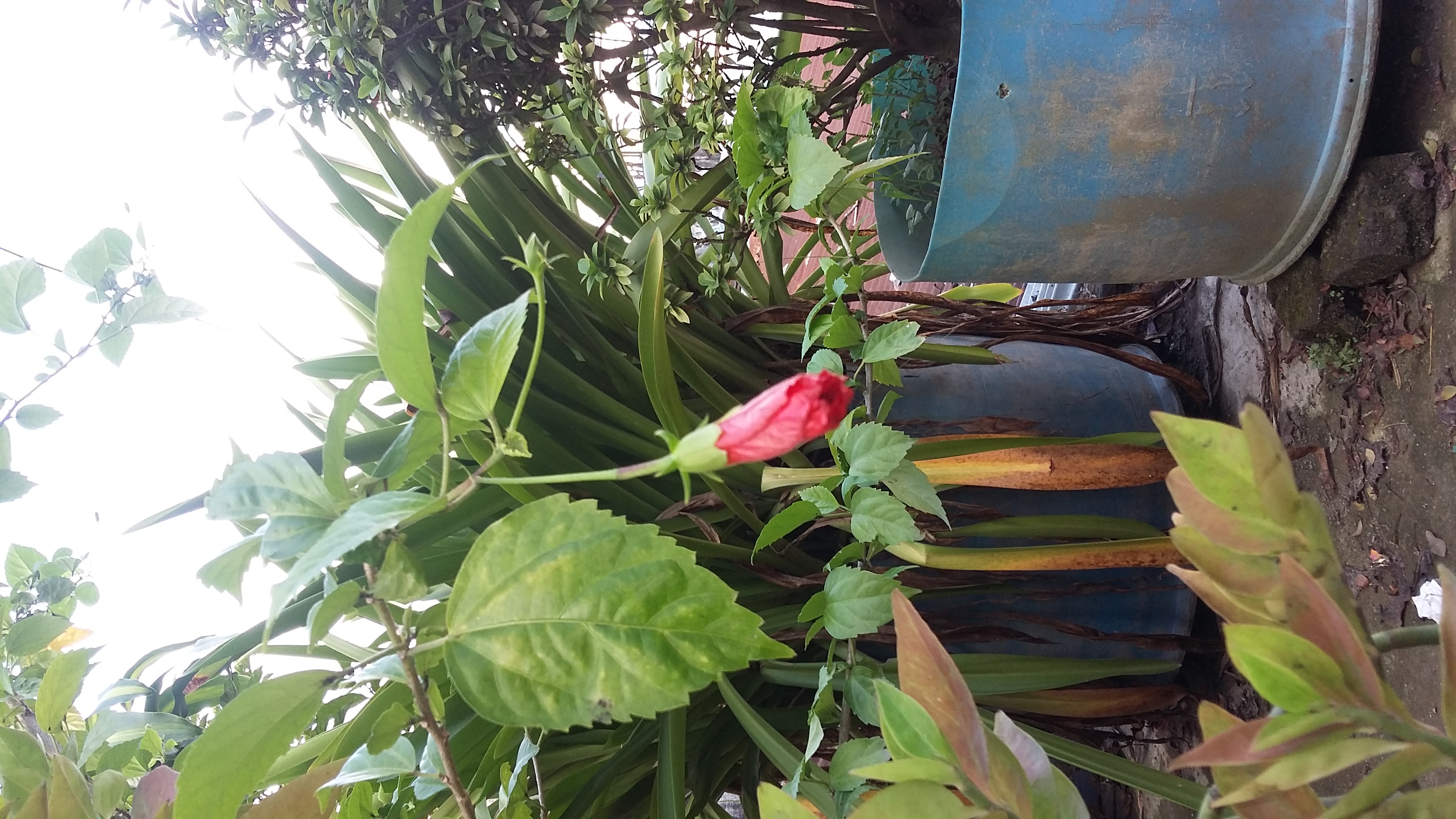 20181031_151023.jpg