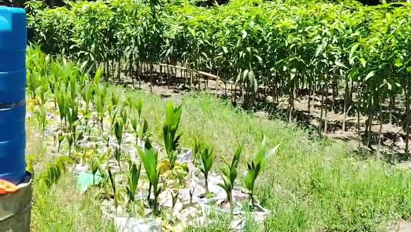 VideoCapture_20260816-181310.jpg