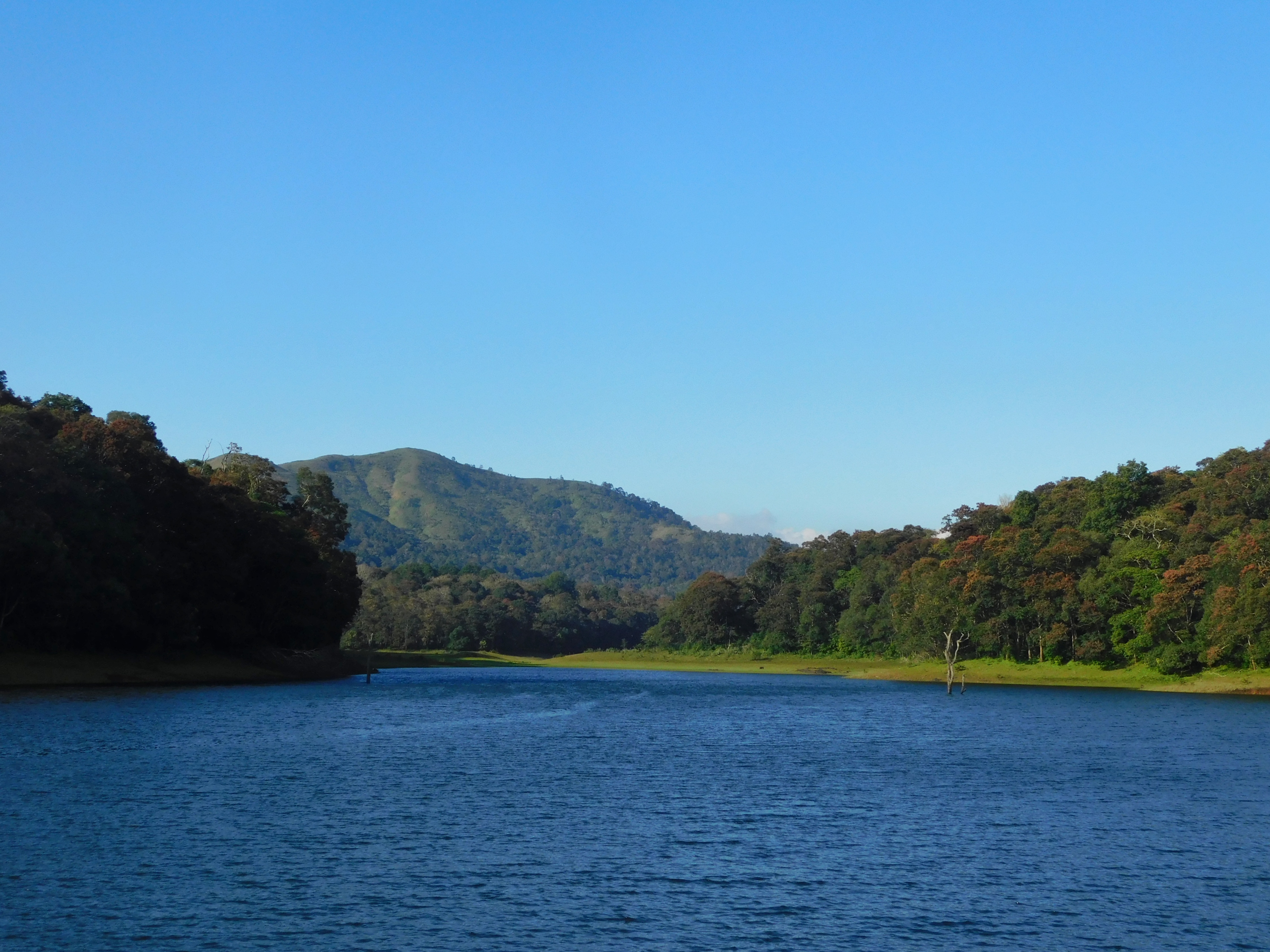 Thekkady.jpg