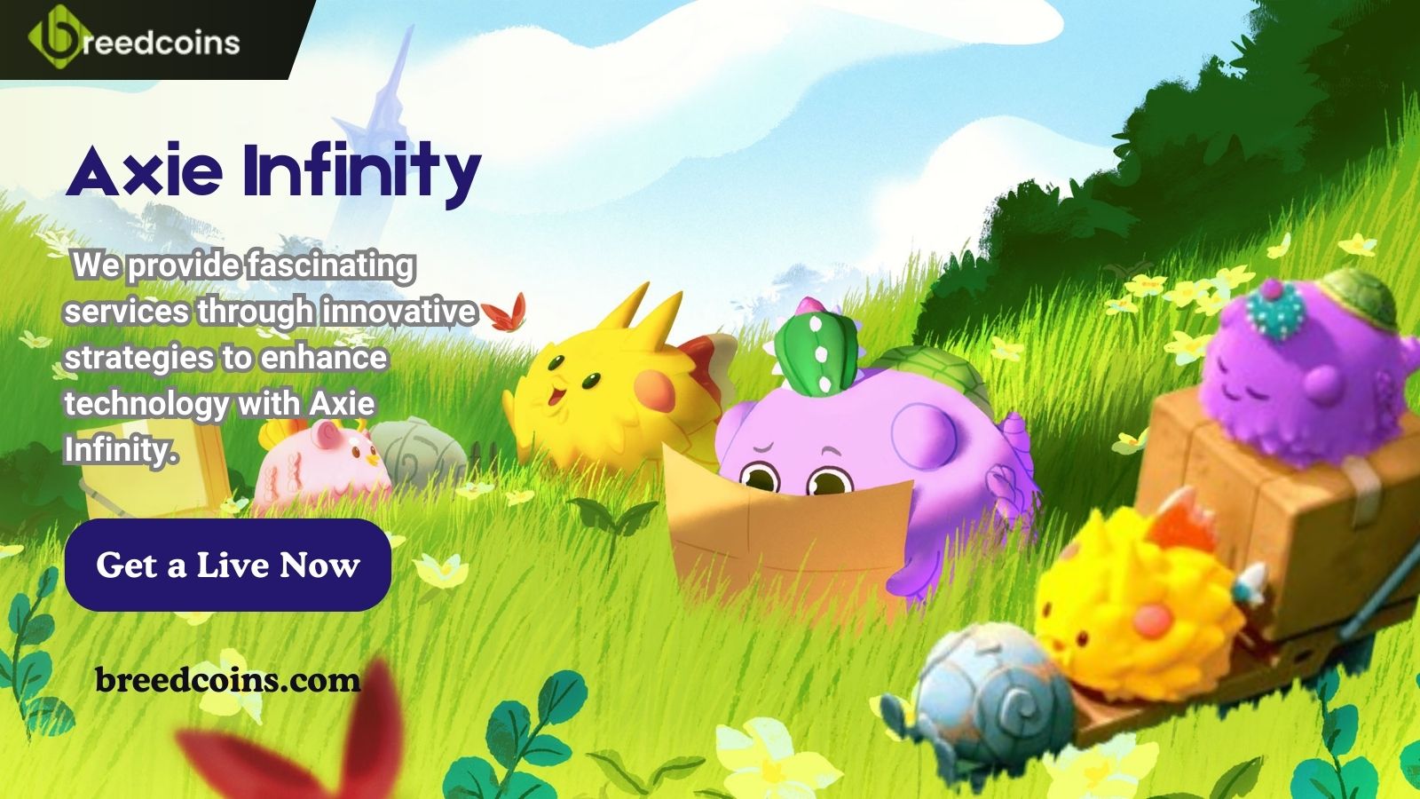 Axie Infinity (2).jpg