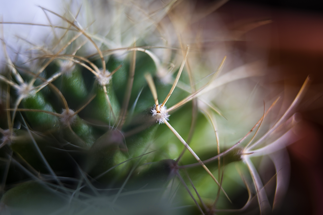 DSC01391-WE.png