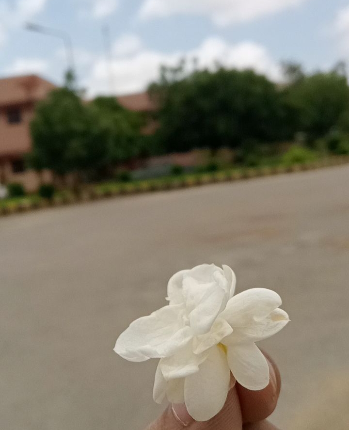 CYMERA_20220803_015030.jpg