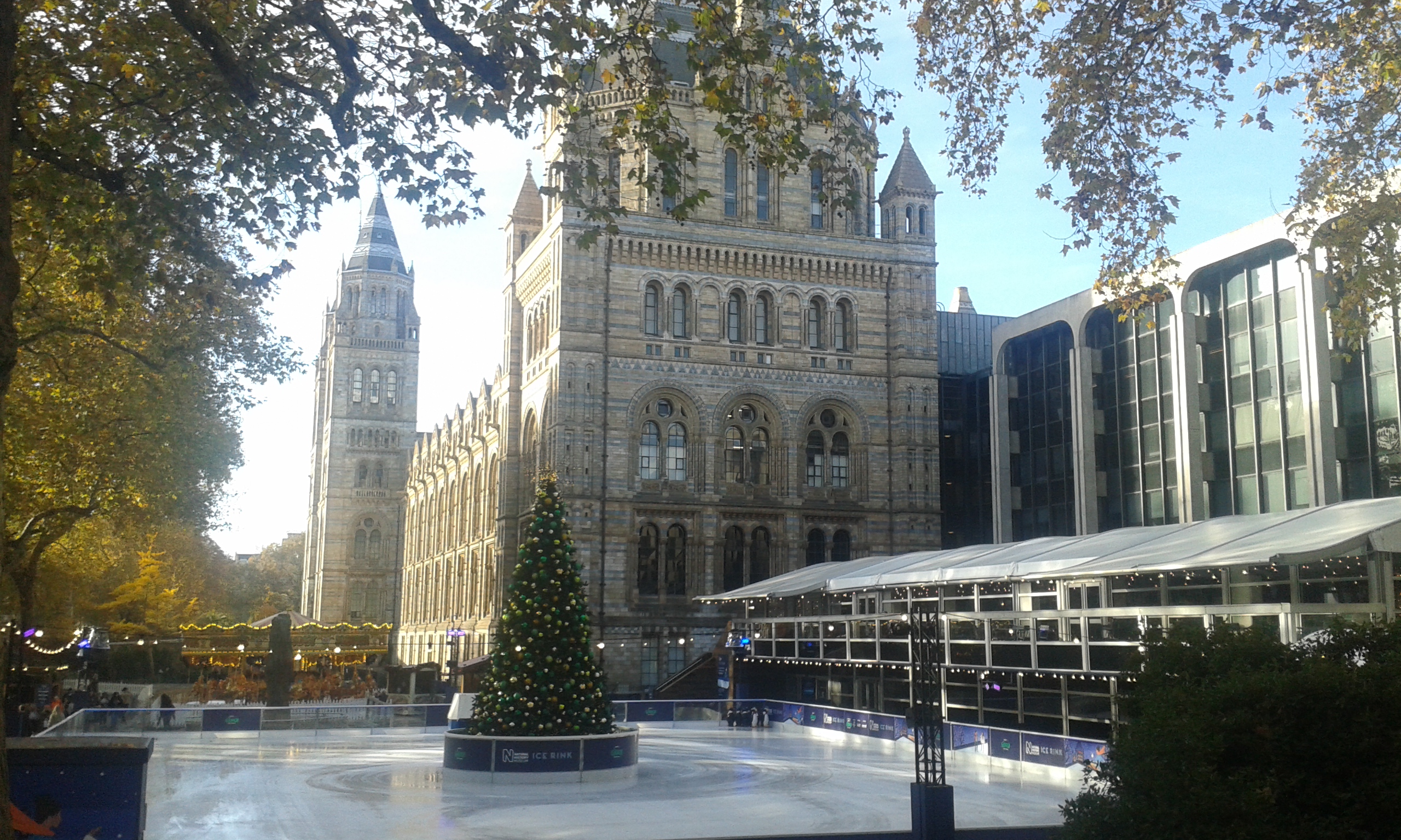 Natural History Museum London christmas tree.jpg