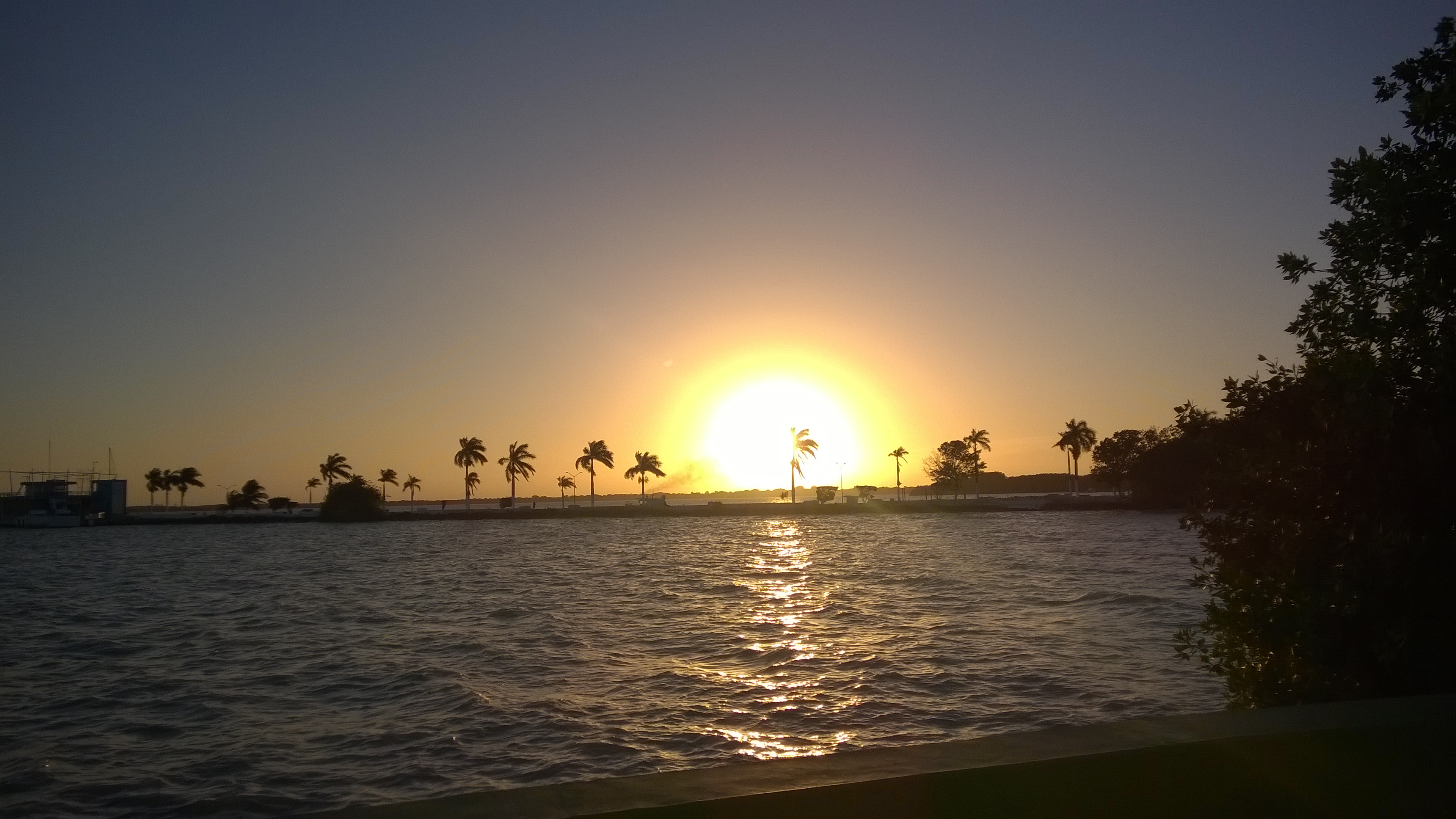 WP_20180211_003.jpg