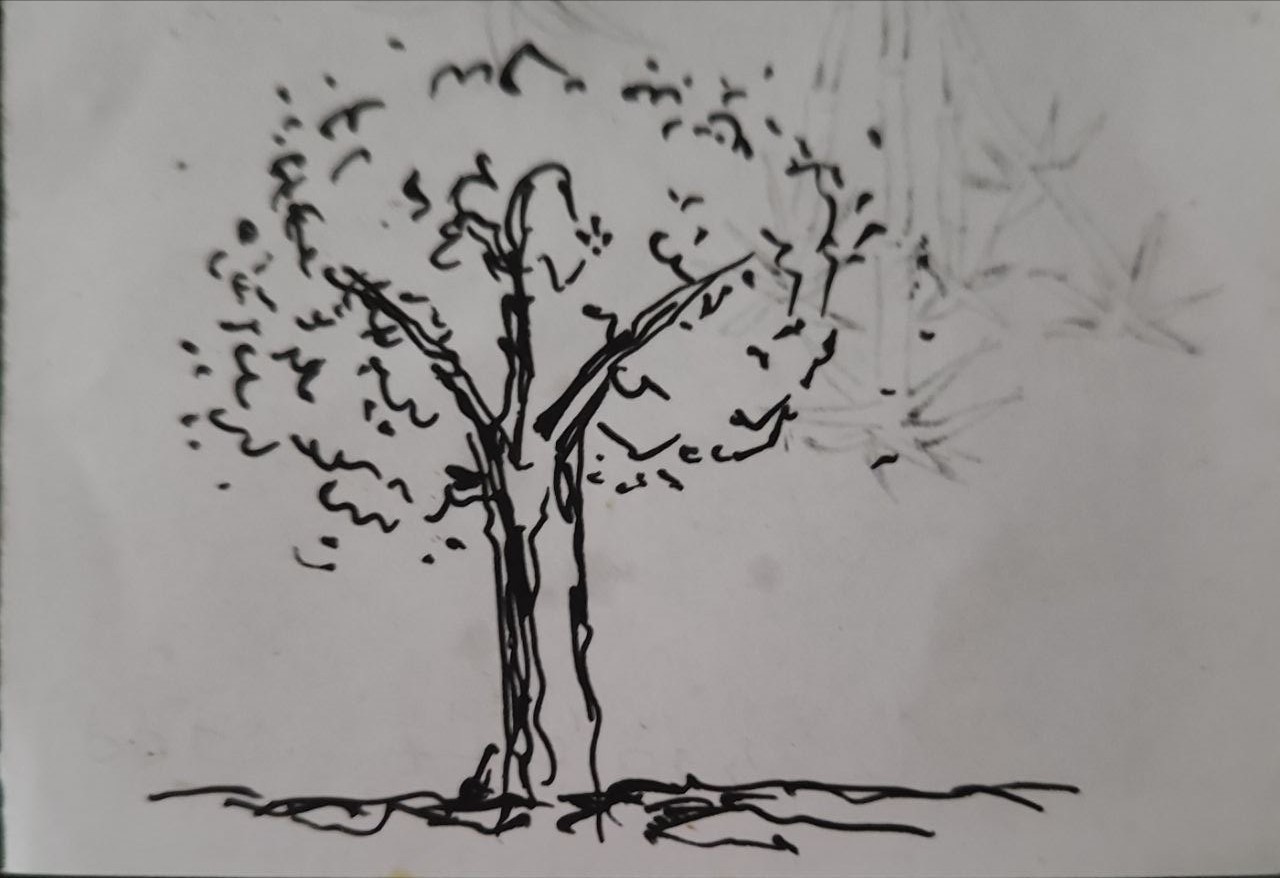 tree.jpg