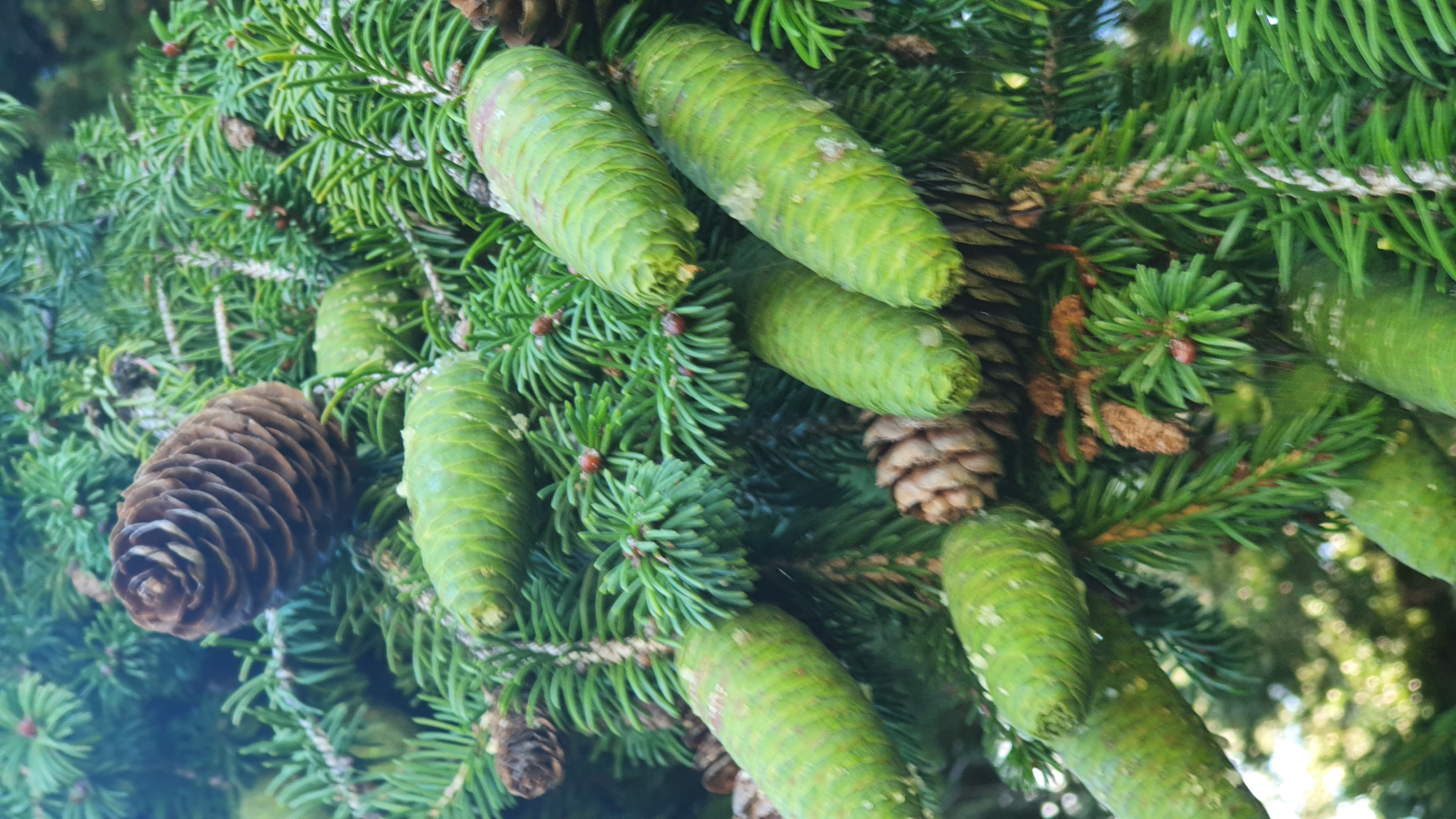 20220912_164253.jpg