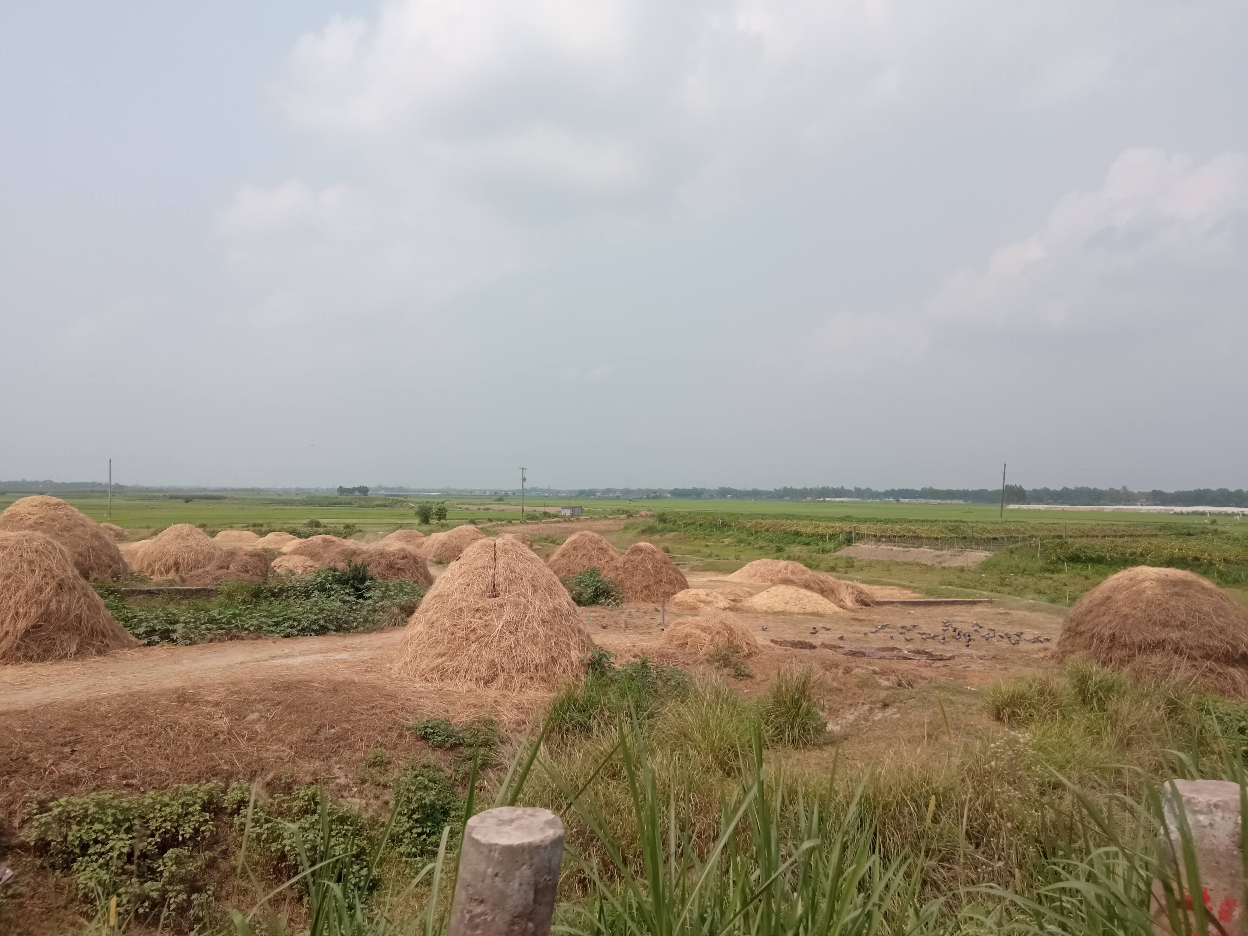 নেচার (3).jpg