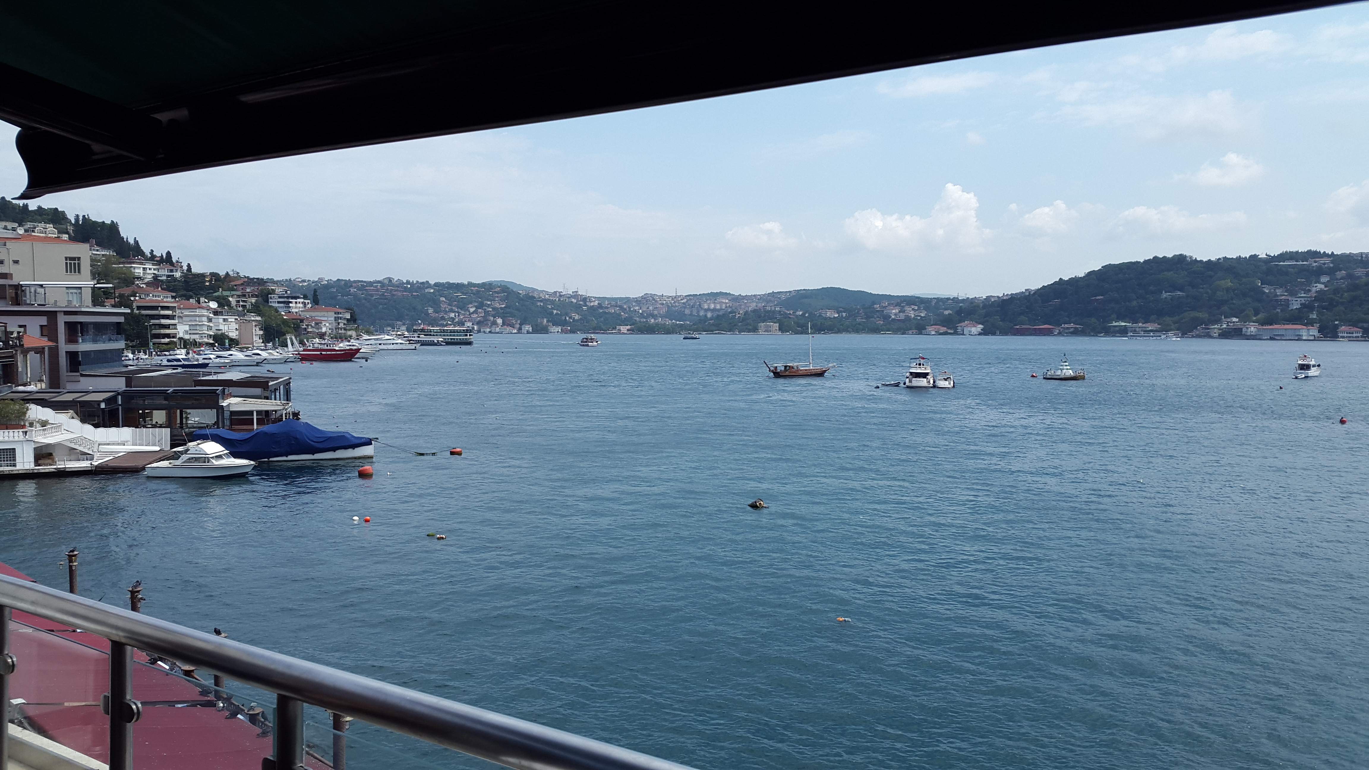 20180818_125916.jpg