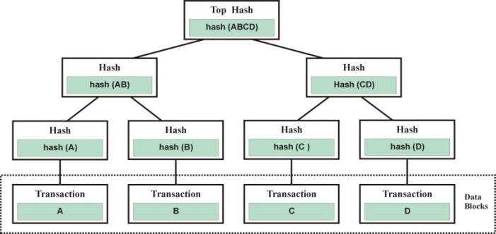 Дерево меркла блокчейн. Merkle tree example. Деревья merkle. Хэш дерево. Деревья merkle.