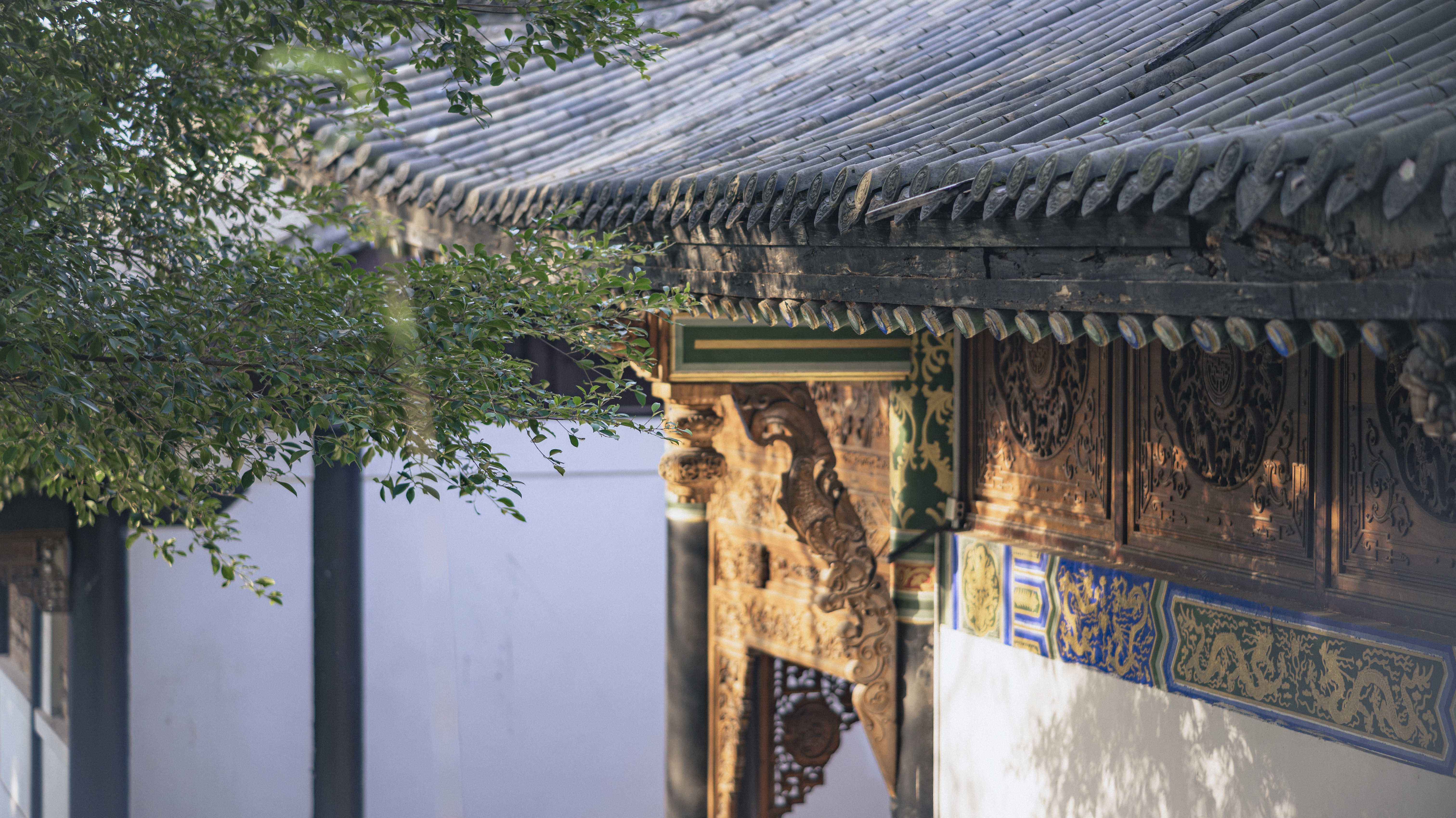 DSC_8015 拷贝.jpg