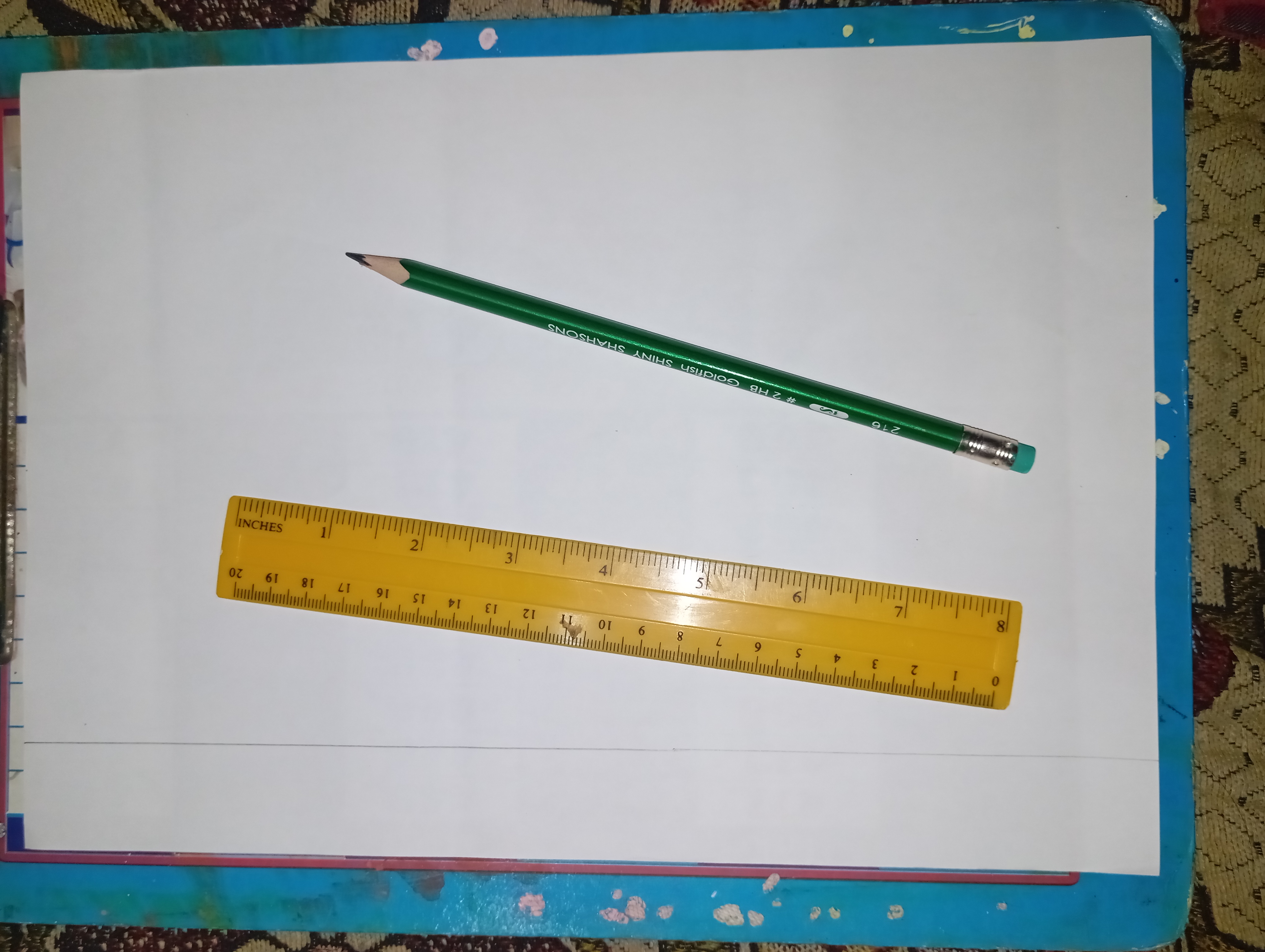 1000201116.jpg