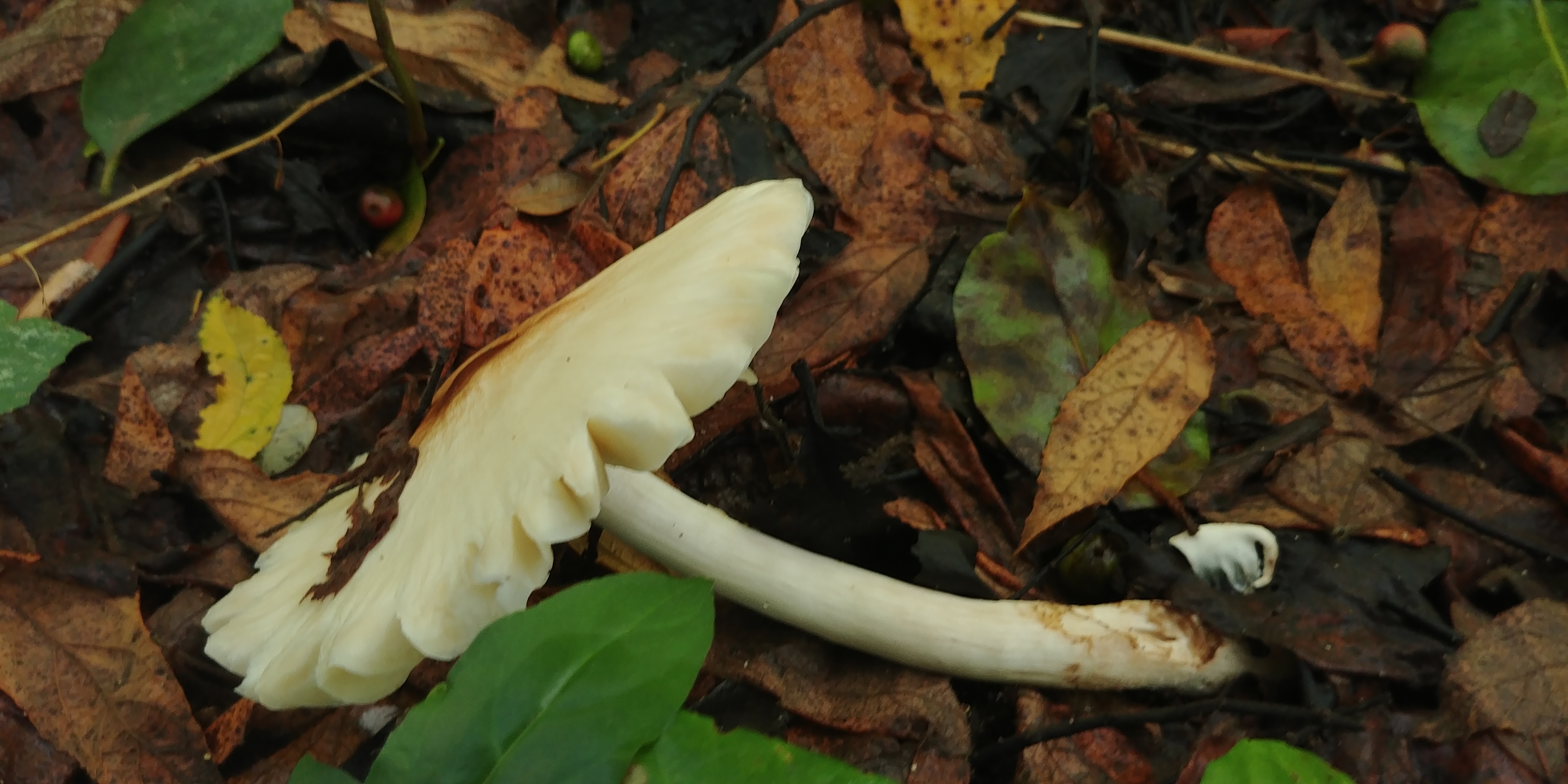 20180906_101709.jpg