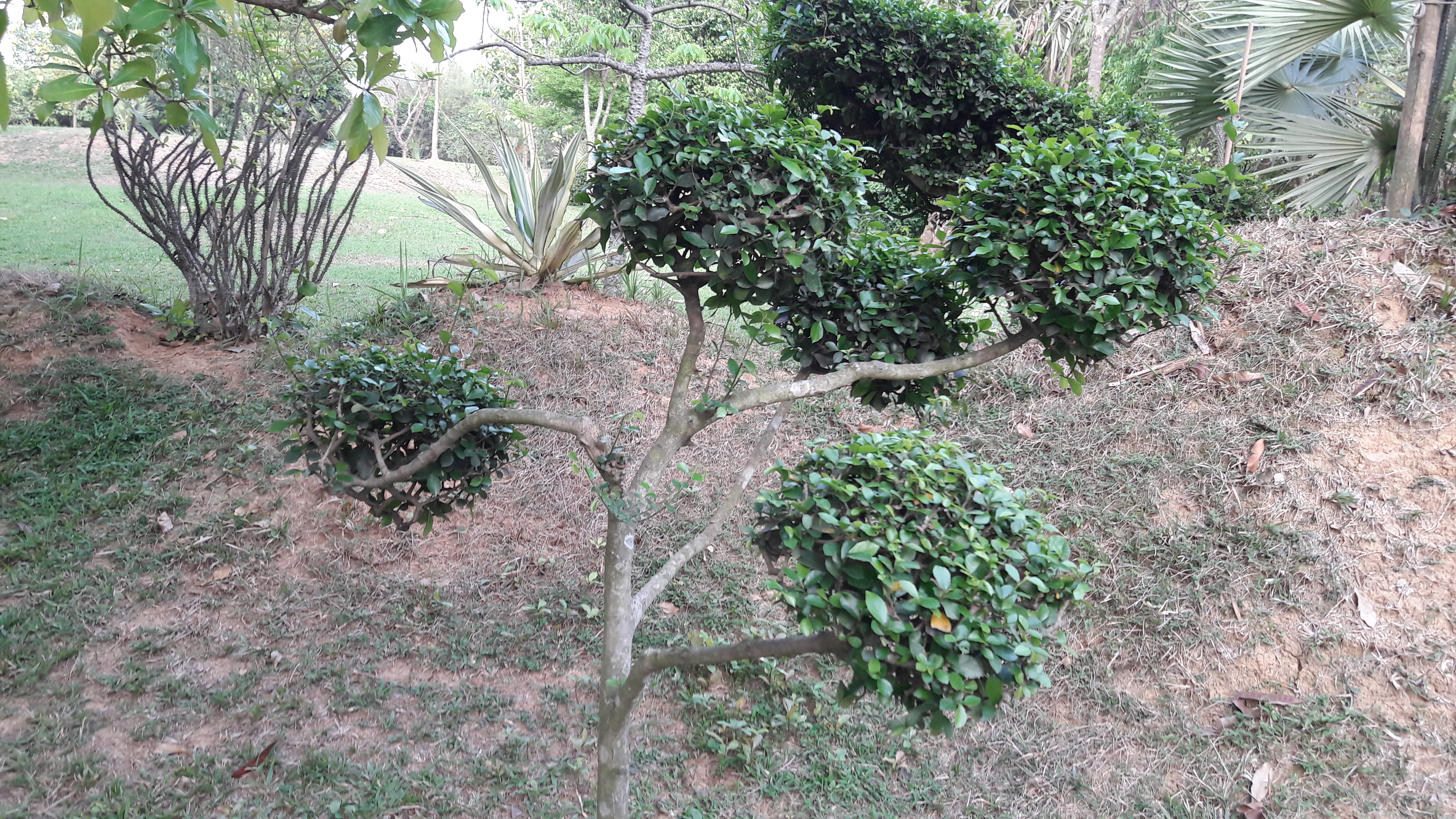 20170401_165144.jpg