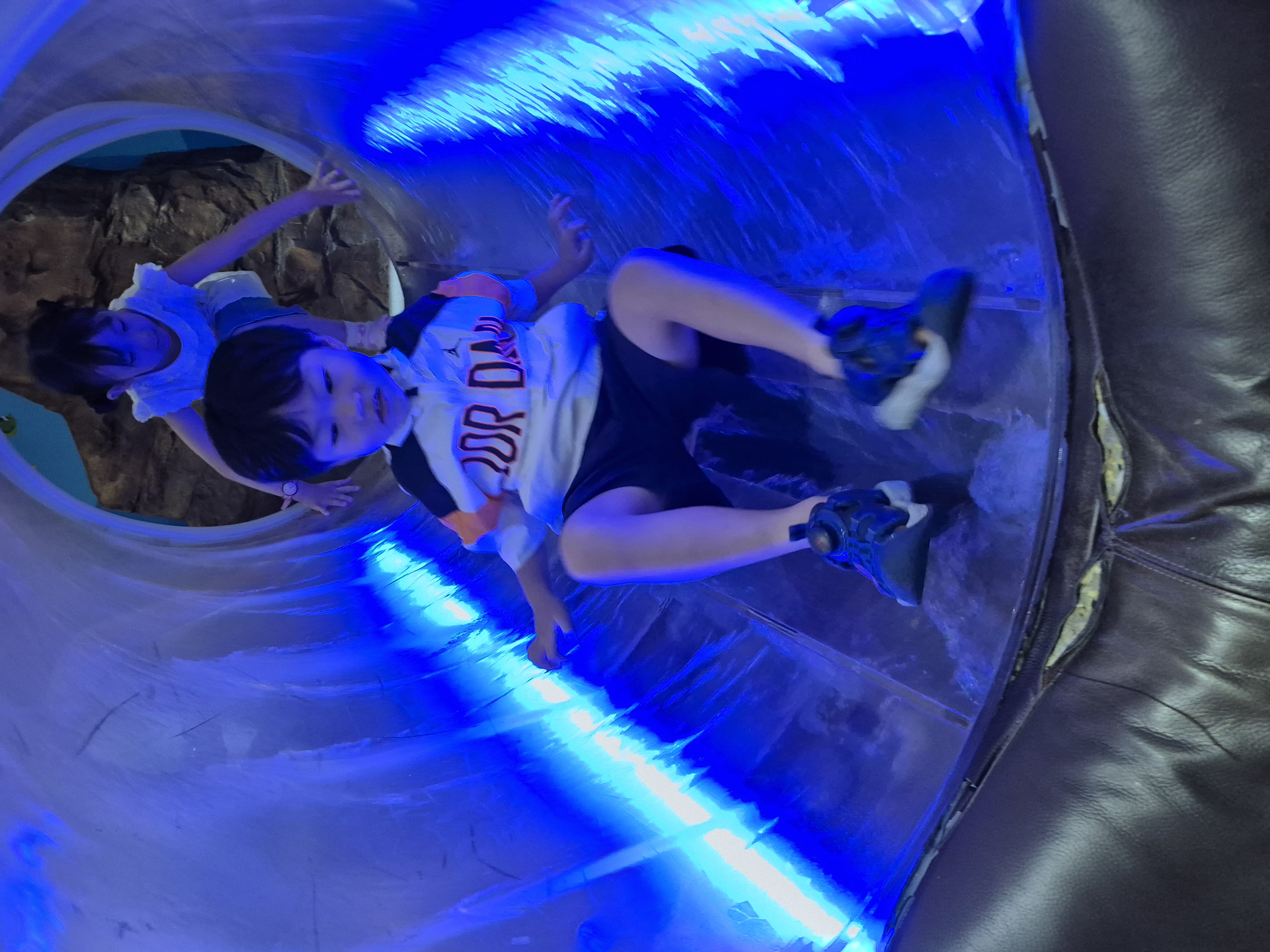 20260816_143513.jpg