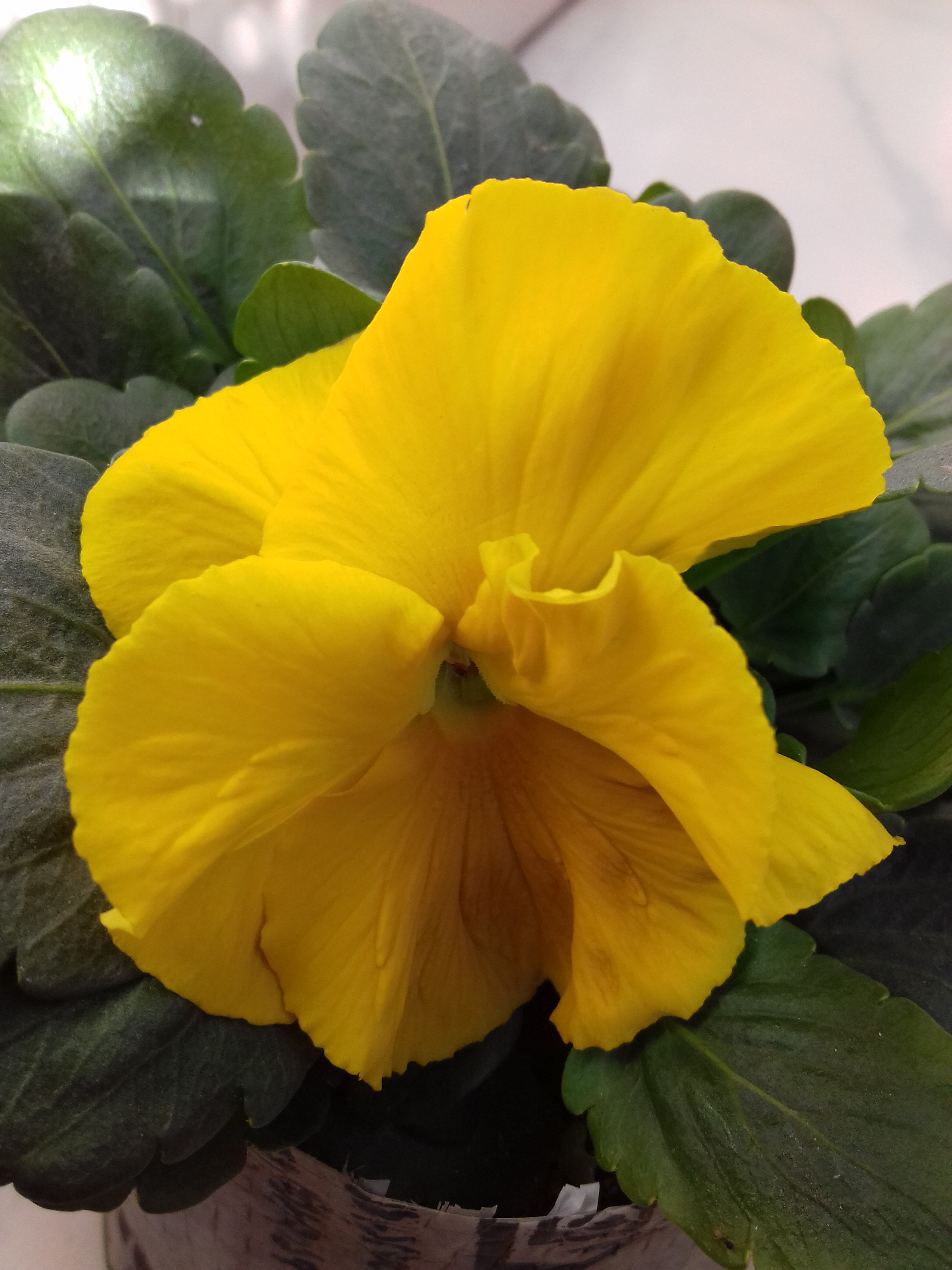 20190202_095610.jpg