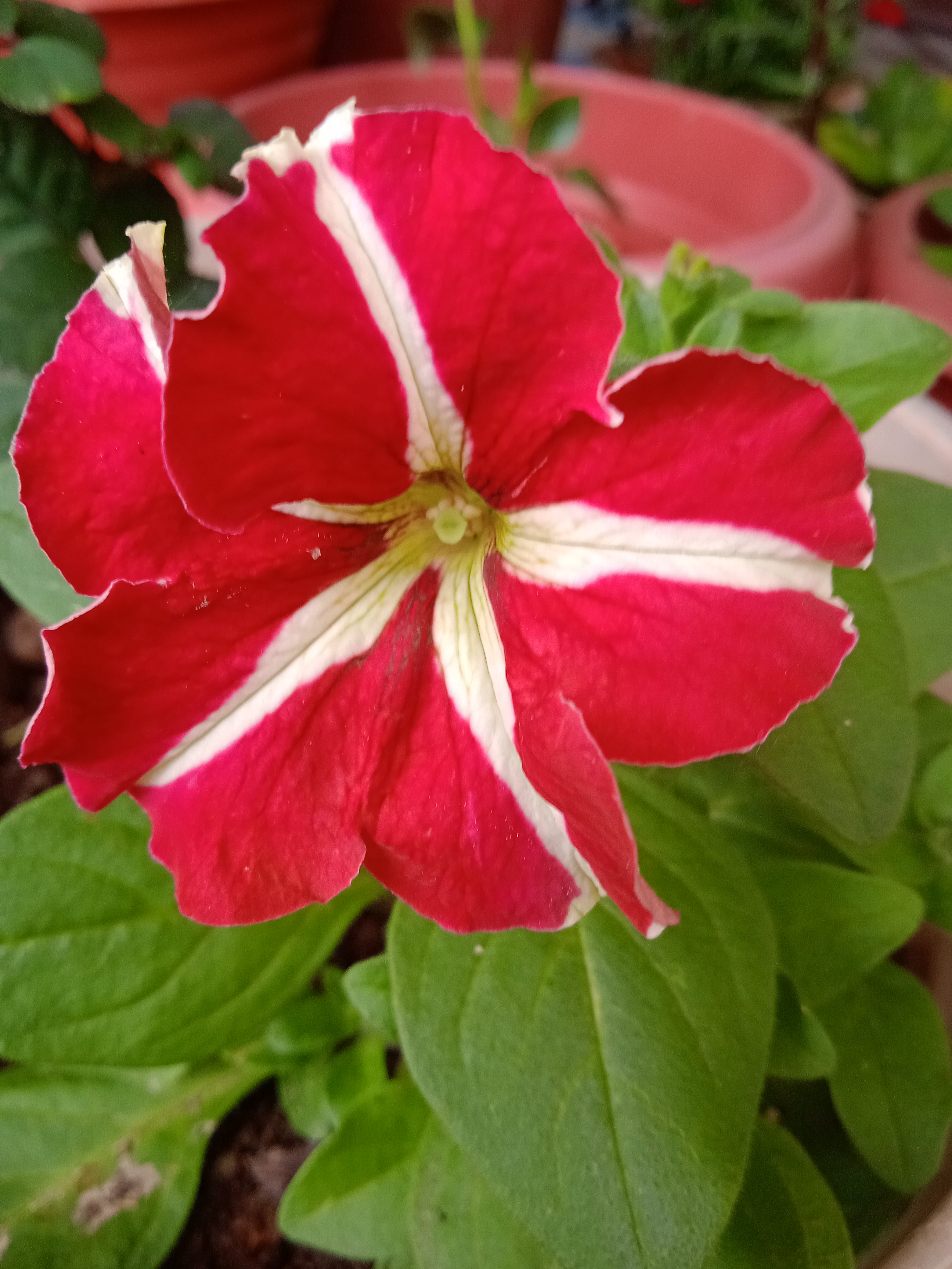 IMG_20220110_095336.jpg