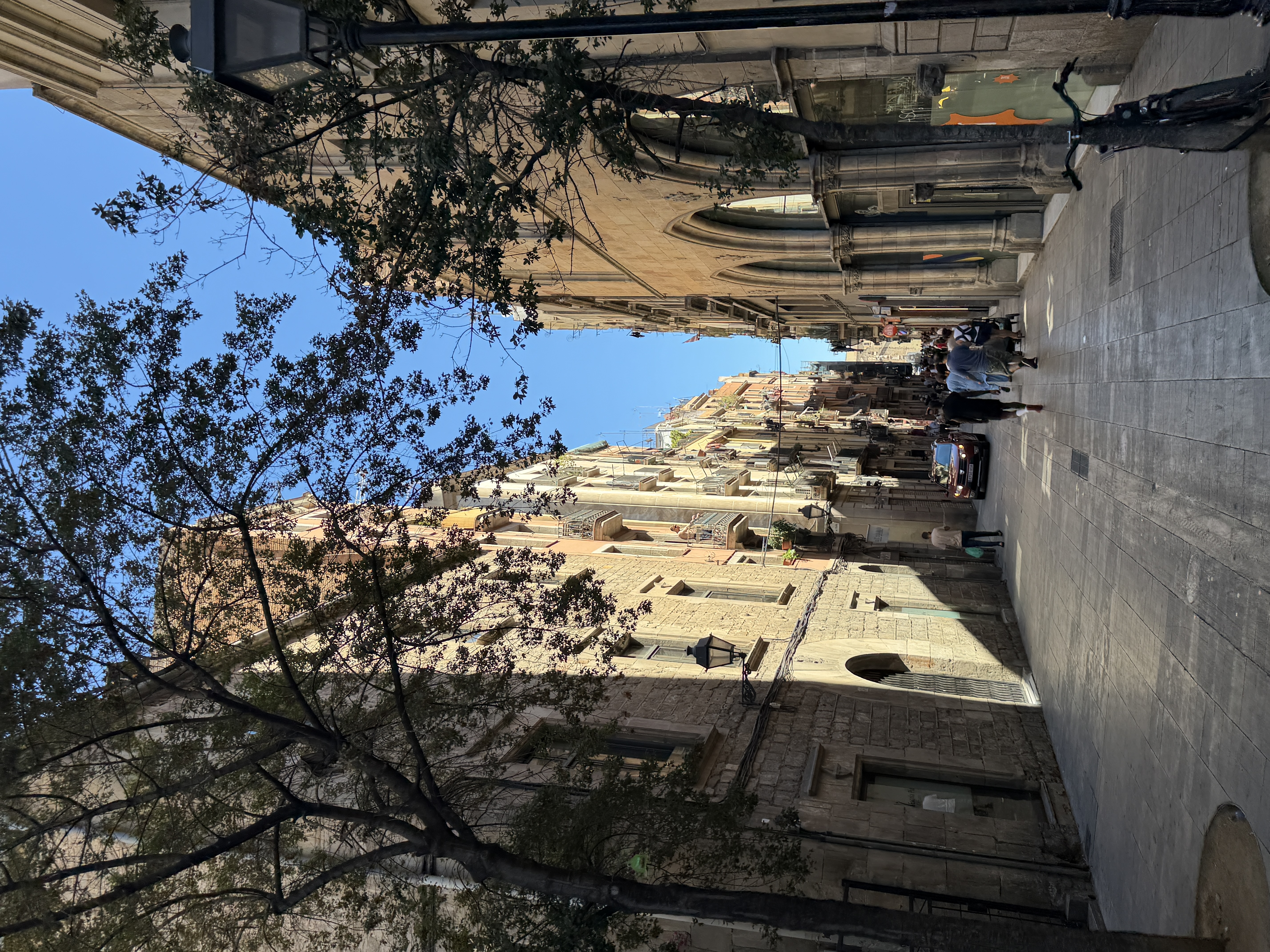 IMG_0821.jpeg