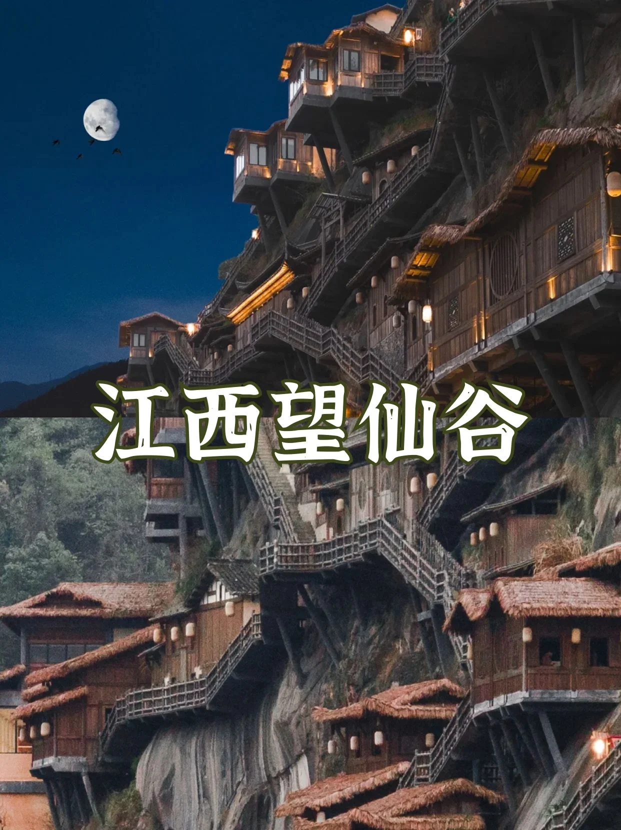 13357185921172656.webp