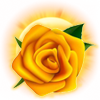 10409.png
