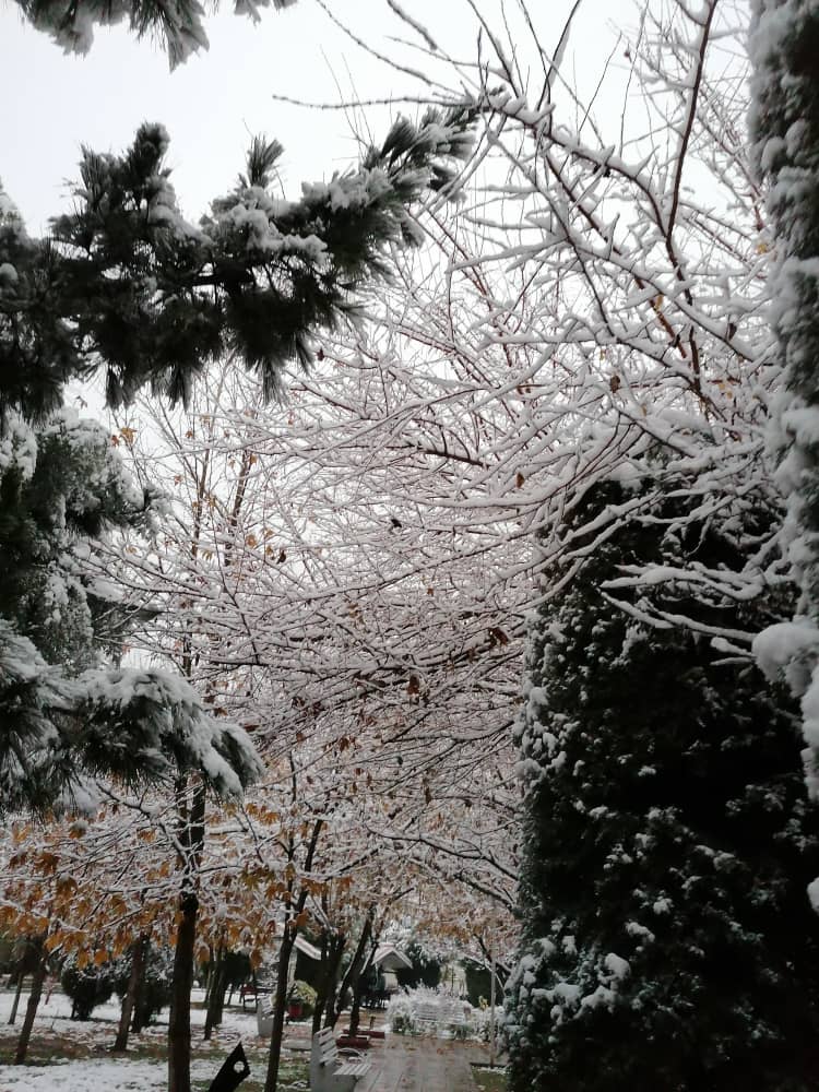 imagepark123 (3).jpeg