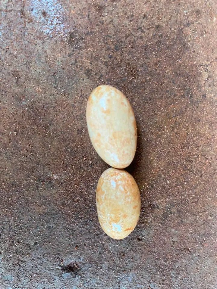 1000315930.jpg