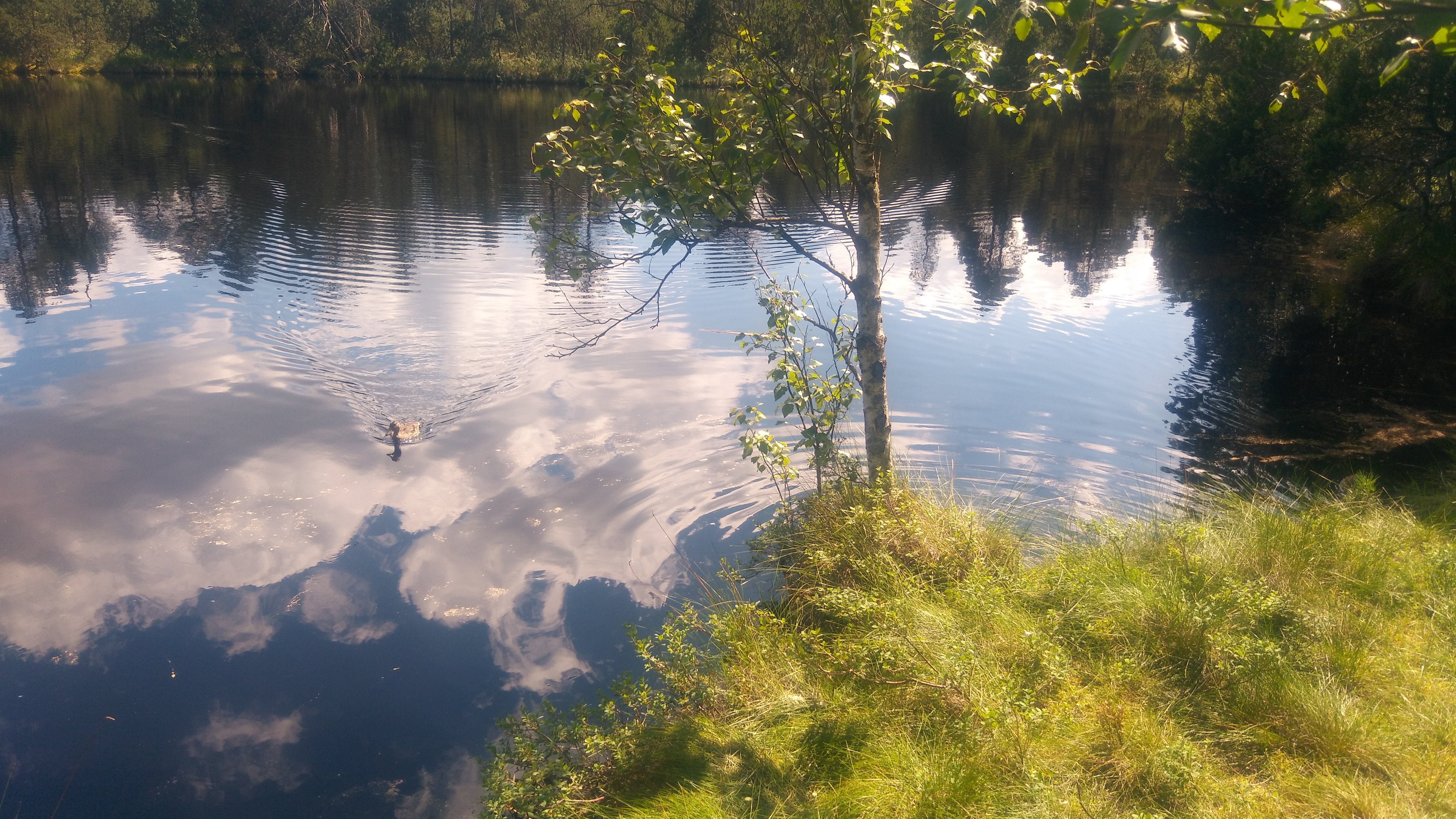 jezero2
